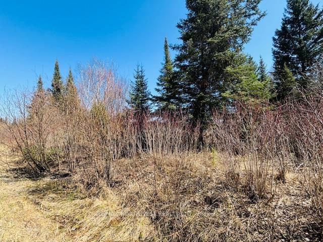 Photo 7 of Hilly Lake Rd, Kenora, Kenora East — HOMEH
