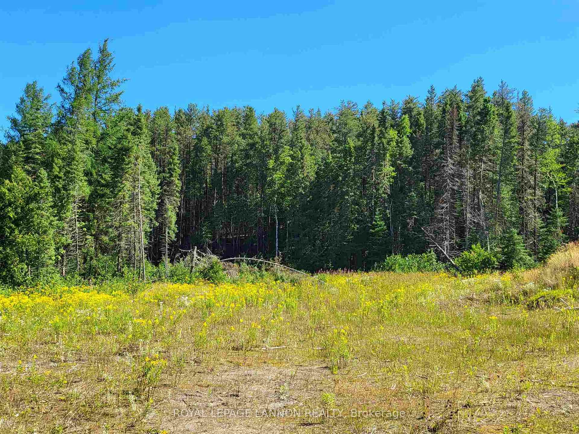 Photo 23 of 964 Acres See Schedule "a", Greenstone — HOMEH