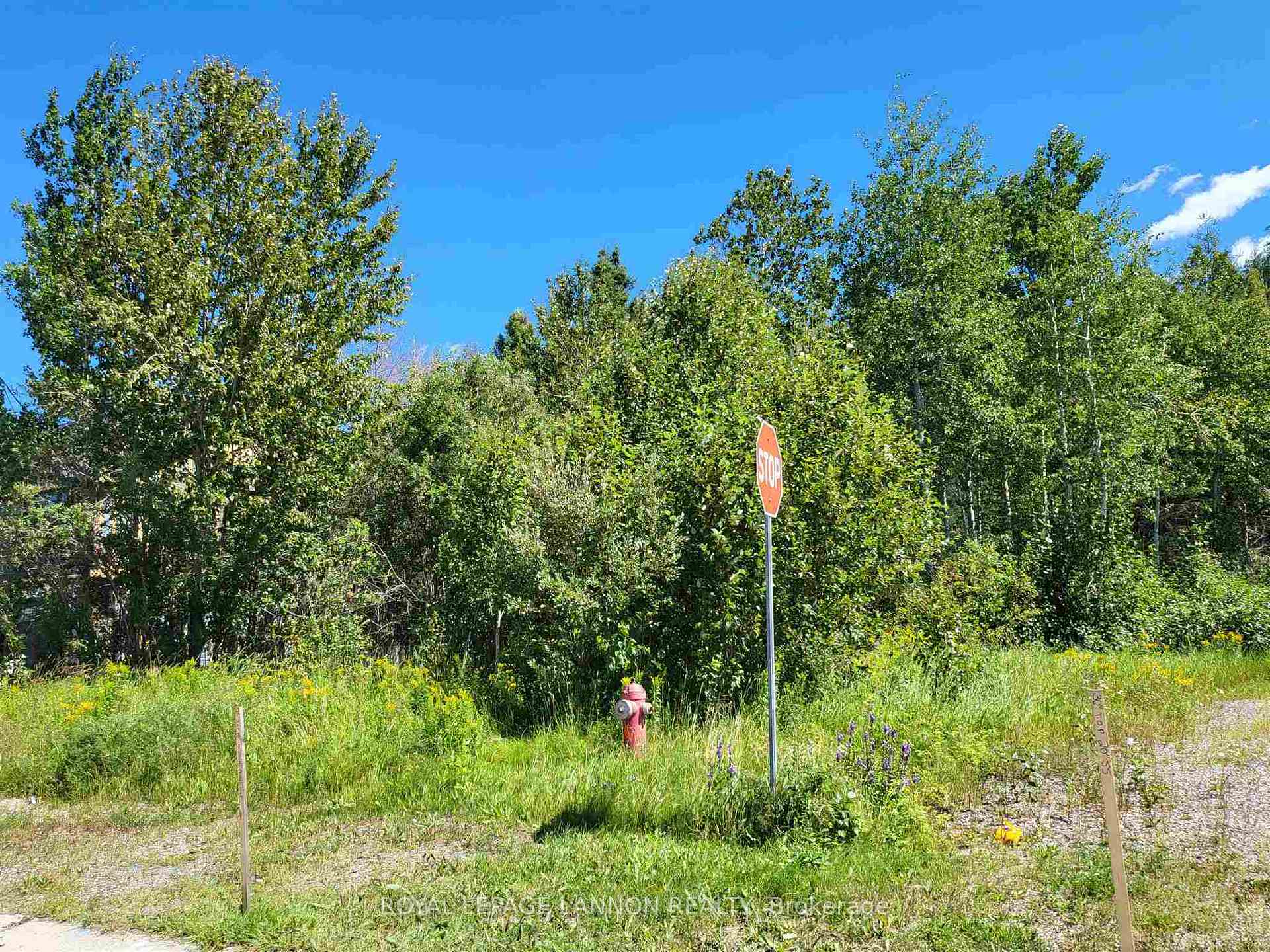 Photo 4 of 3RD Avenue, Greenstone — HOMEH