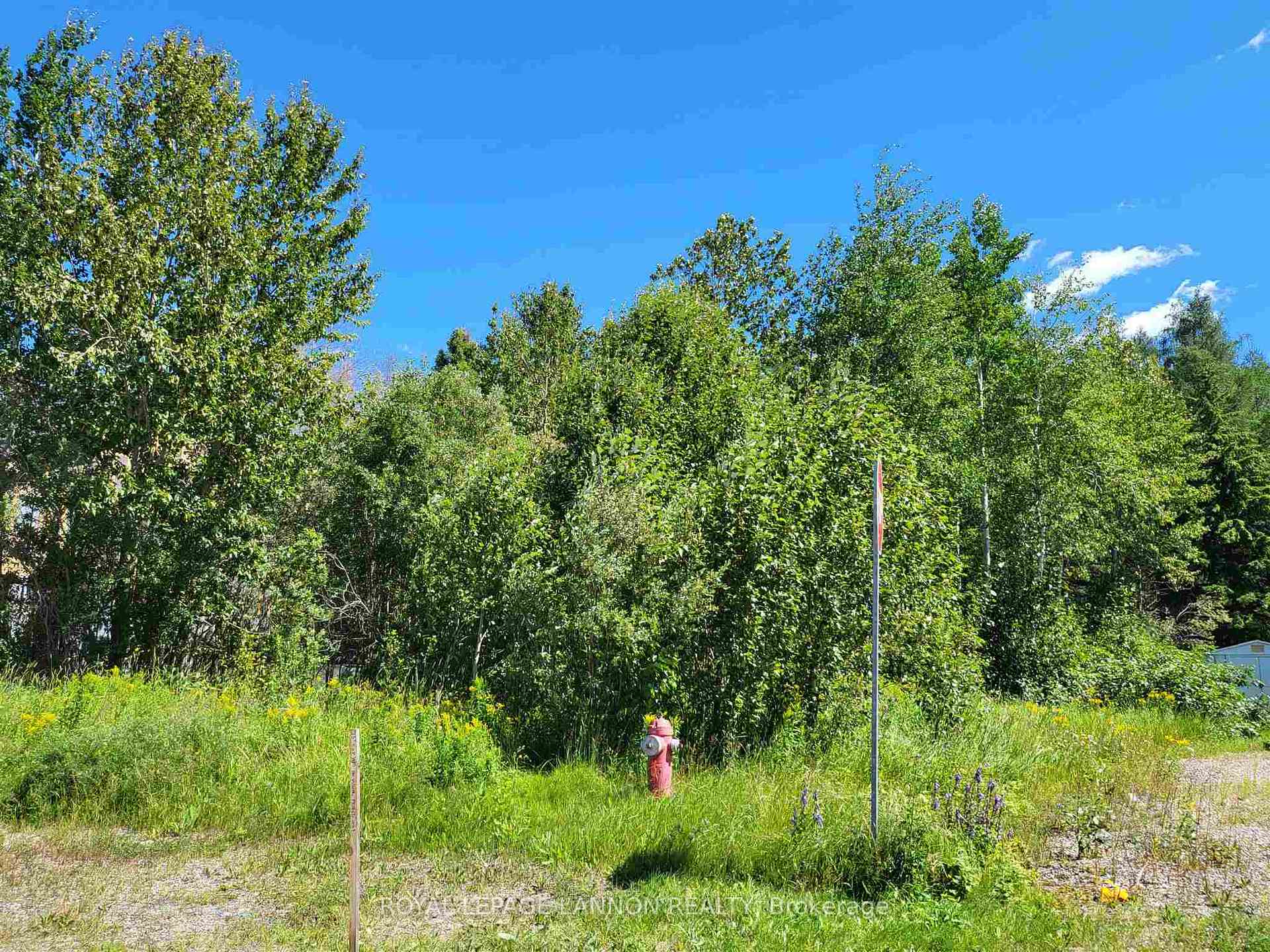 Photo 10 of 3RD Avenue, Greenstone — HOMEH