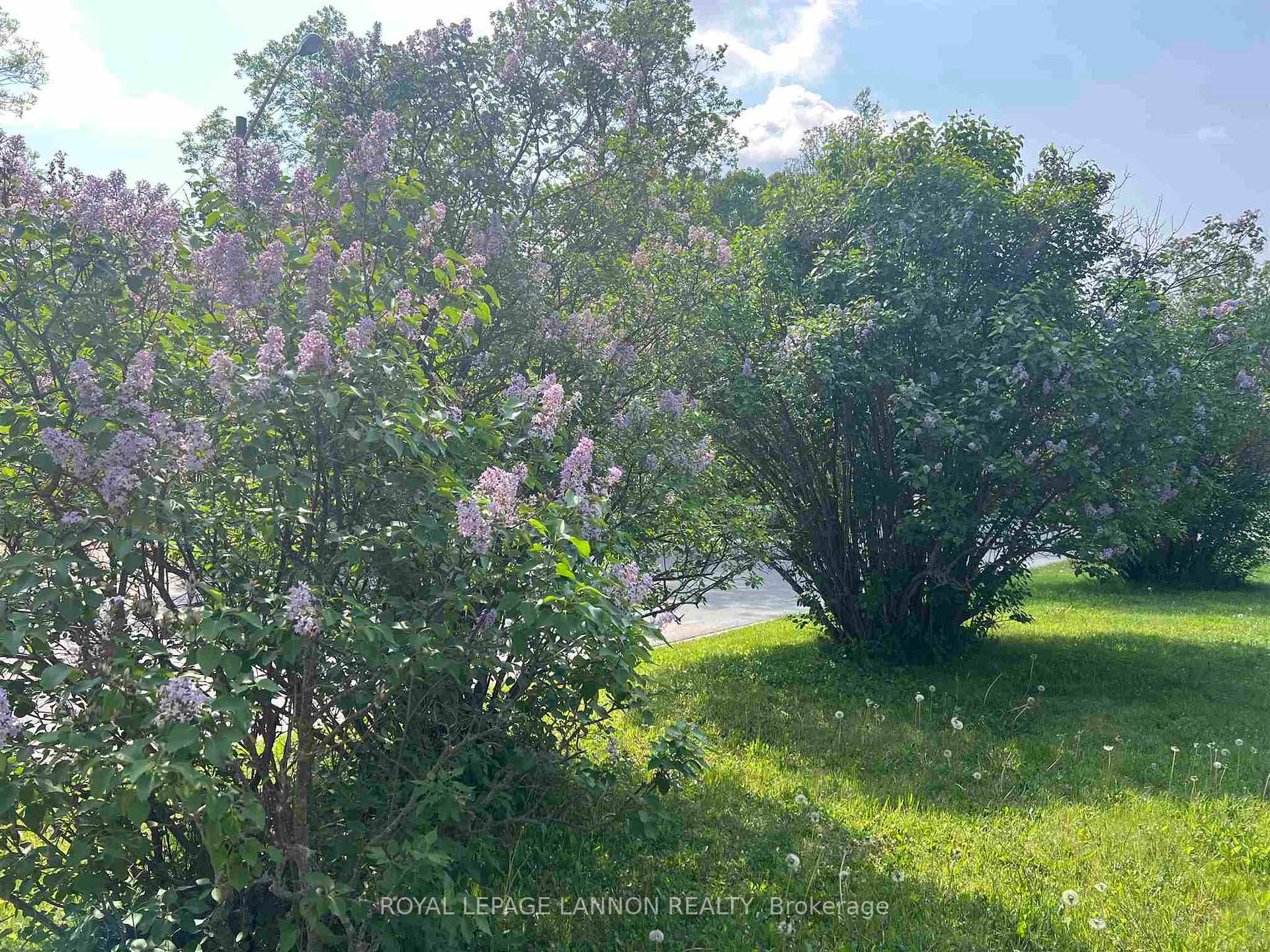 Photo 21 of 138 Willow Road, Atikokan — HOMEH