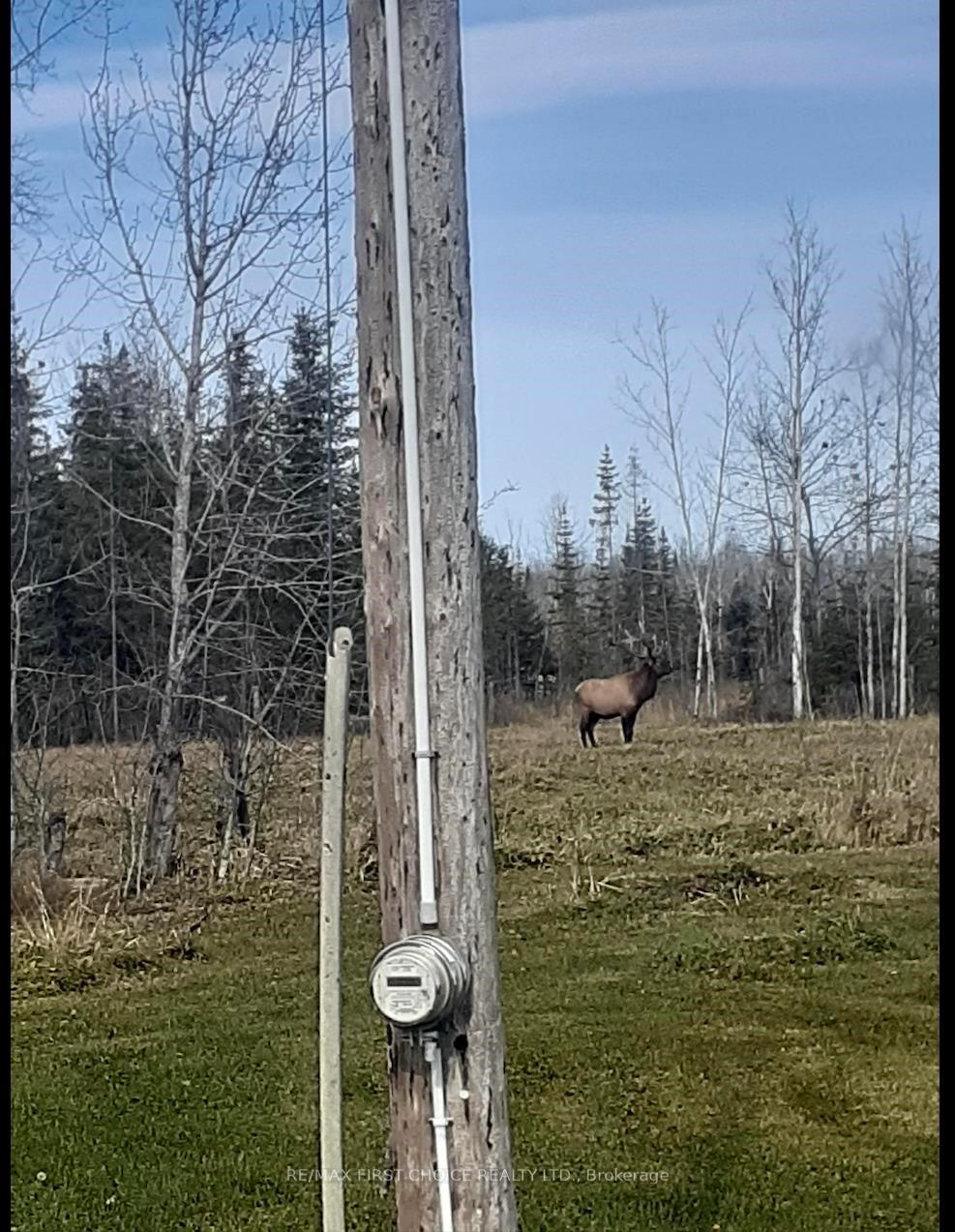 Photo 33 of 870 McDiarmid Road, Emo — HOMEH