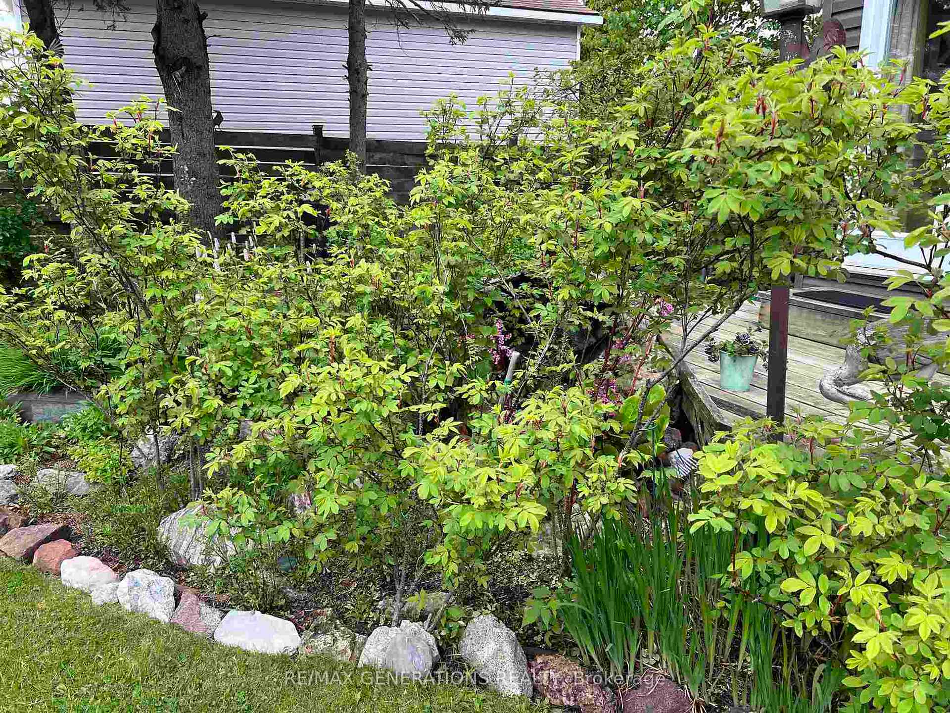 Photo 21 of 7 Howe Street, Marathon — HOMEH
