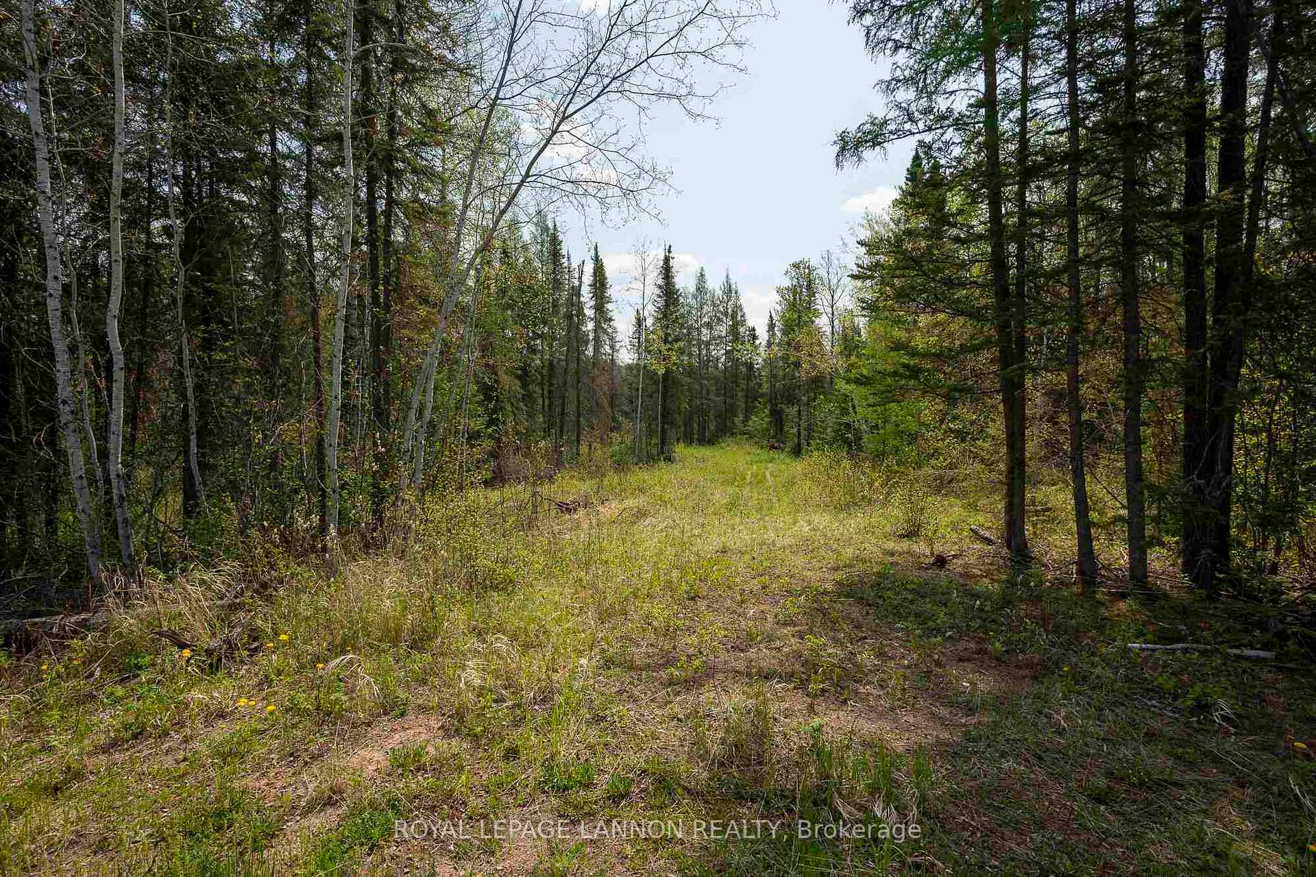 Photo 41 of 372 Ware Road N, Thunder Bay Remote Area, Ware — HOMEH