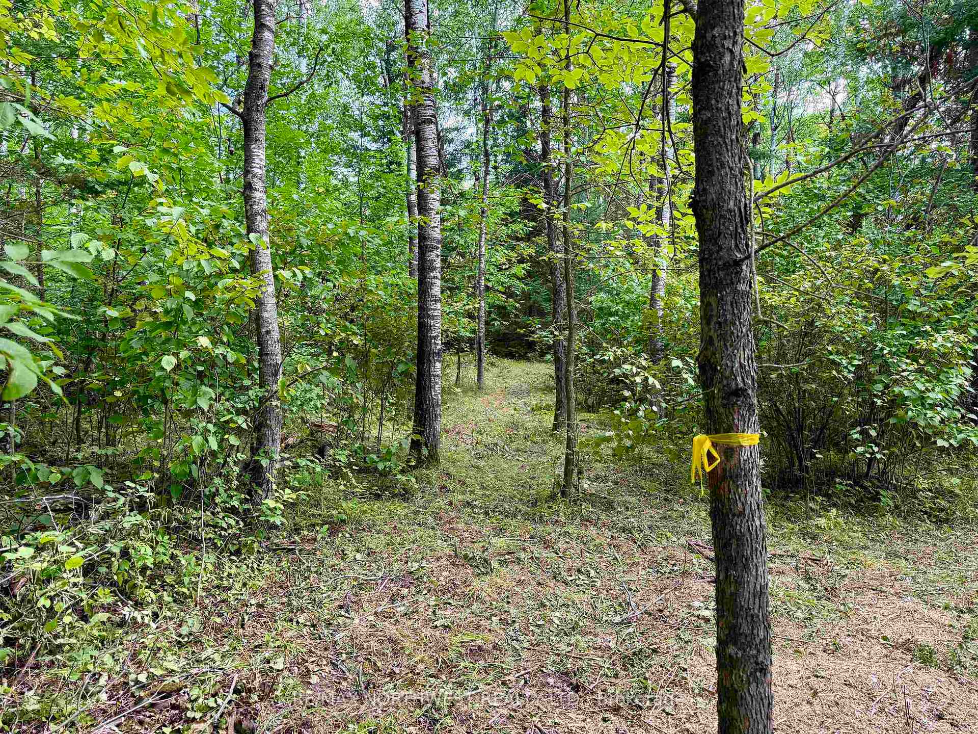 Photo 7 of Lot 3 Battigelli Drive, Kenora, Kenora Northeast — HOMEH