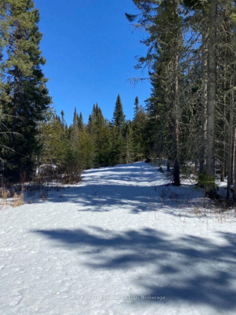 Photo 3 of Parcel 11-1 Con 6, Thunder Bay Remote Area, Marks — HOMEH