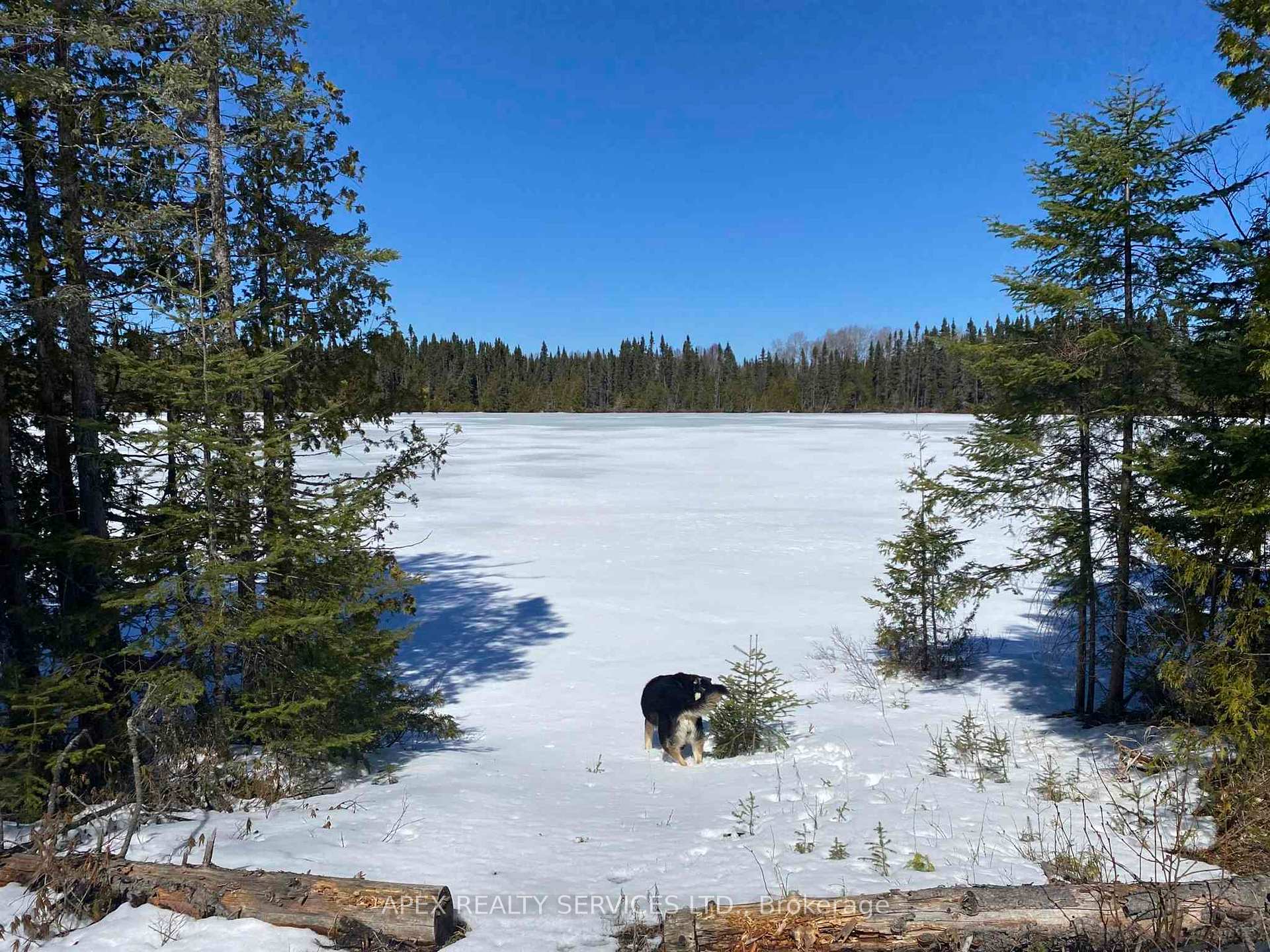 Photo 5 of Parcel 11-1 Con 6, Thunder Bay Remote Area, Marks — HOMEH