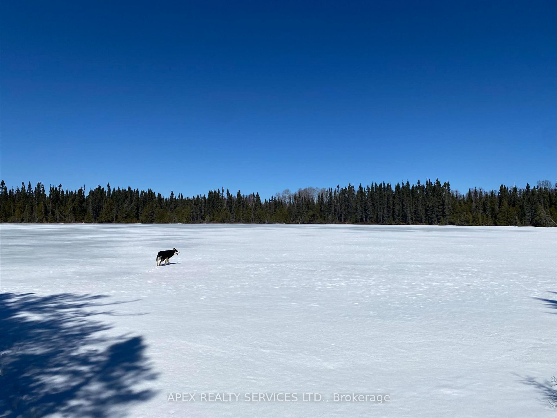 Photo 6 of Parcel 11-1 Con 6, Thunder Bay Remote Area, Marks — HOMEH