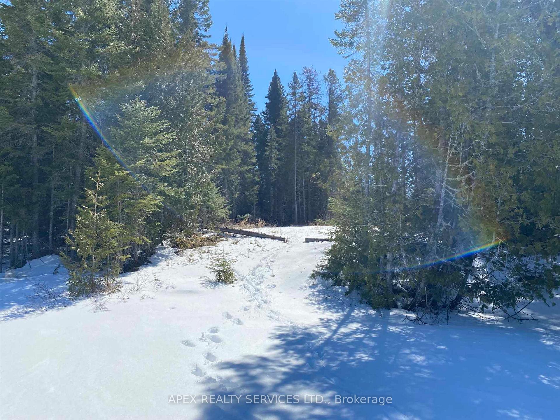 Photo 7 of Parcel 11-1 Con 6, Thunder Bay Remote Area, Marks — HOMEH