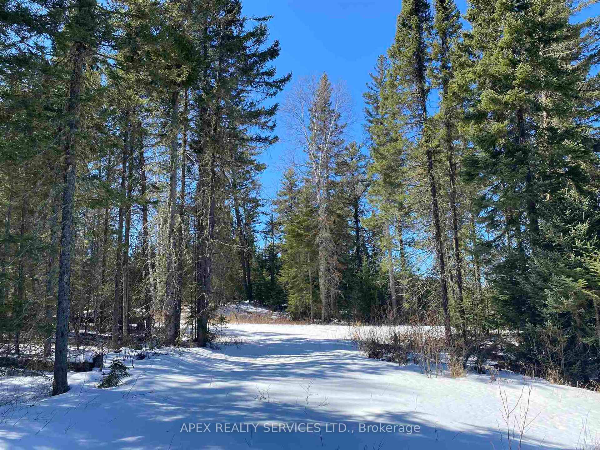Photo 8 of Parcel 11-1 Con 6, Thunder Bay Remote Area, Marks — HOMEH