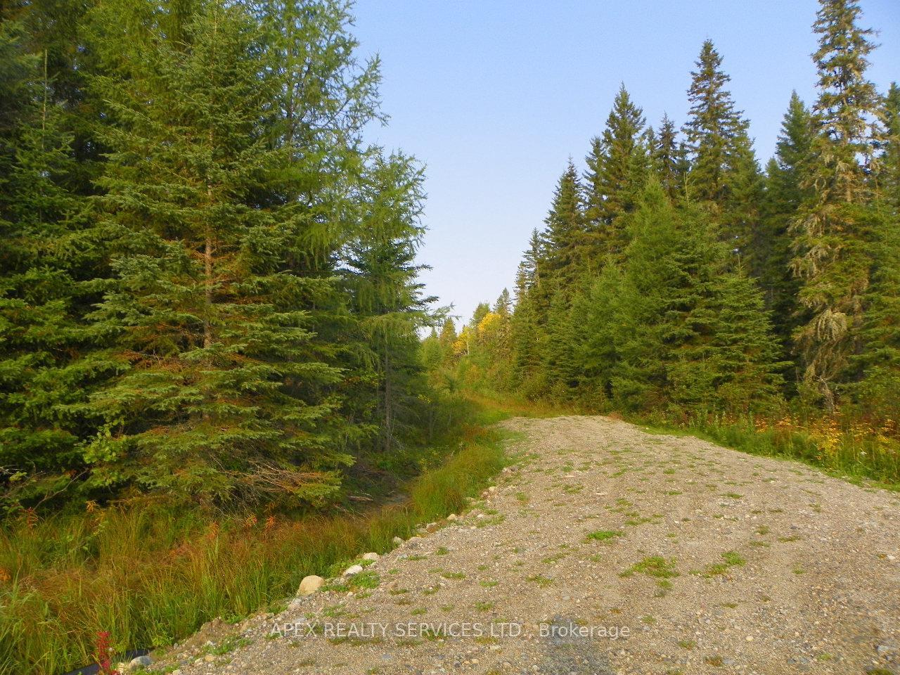 Photo 5 of Con 10 Lt 3 Parcel 2395NEC, Cochrane — HOMEH