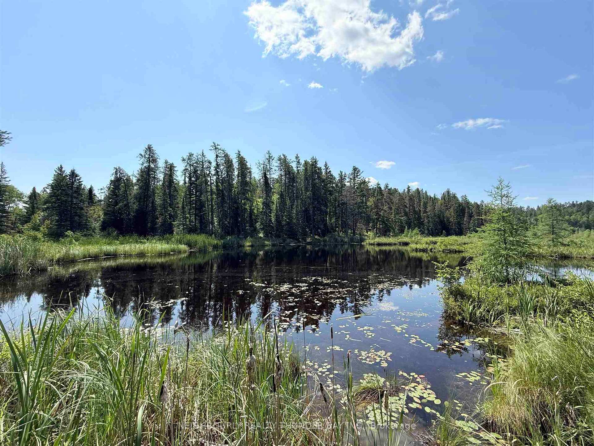 Photo 5 of 384 Hwy 608, Neebing, Scoble — HOMEH