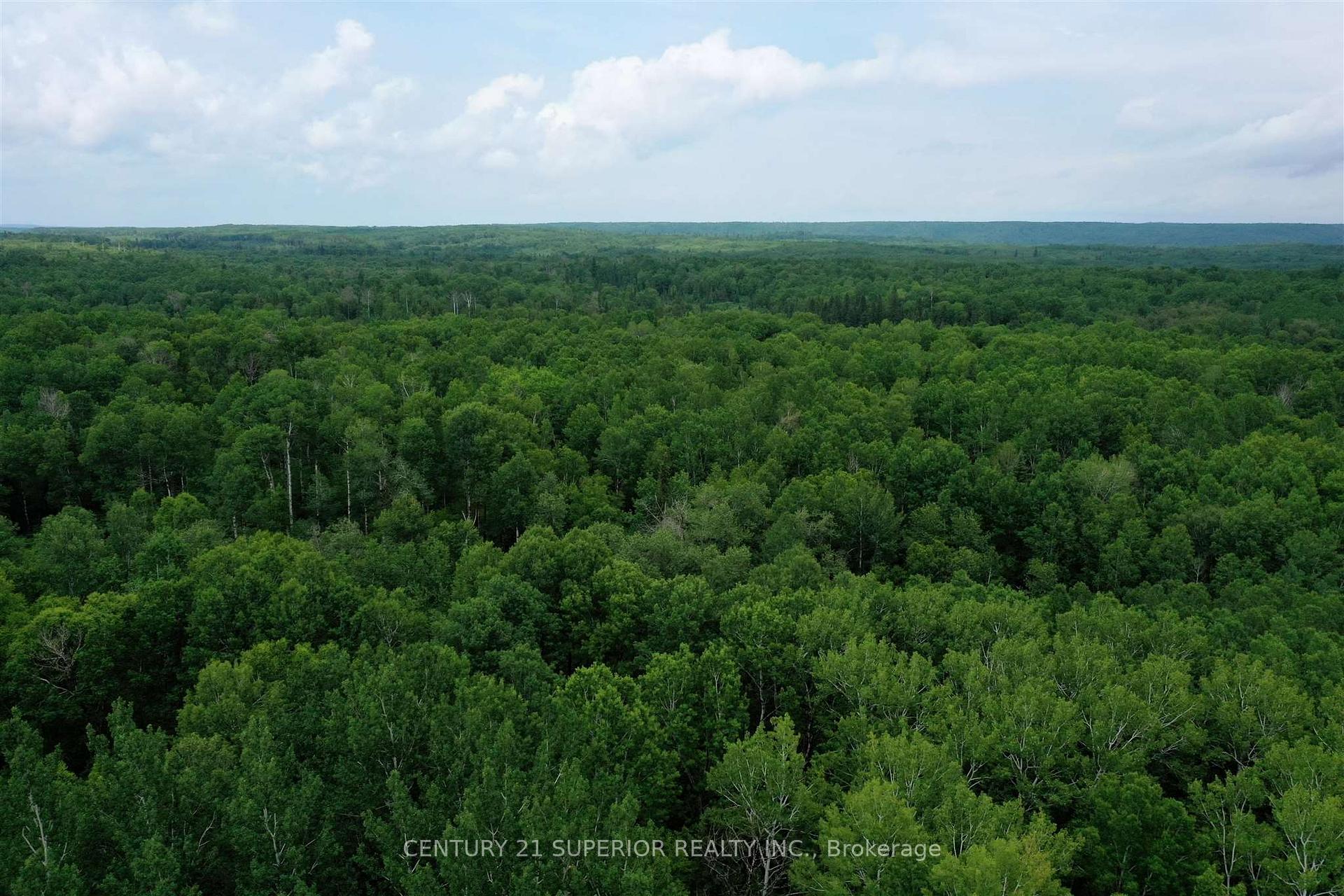 Photo 8 of 1742 Forbes River Road, Thunder Bay Remote Area, Forbes — HOMEH