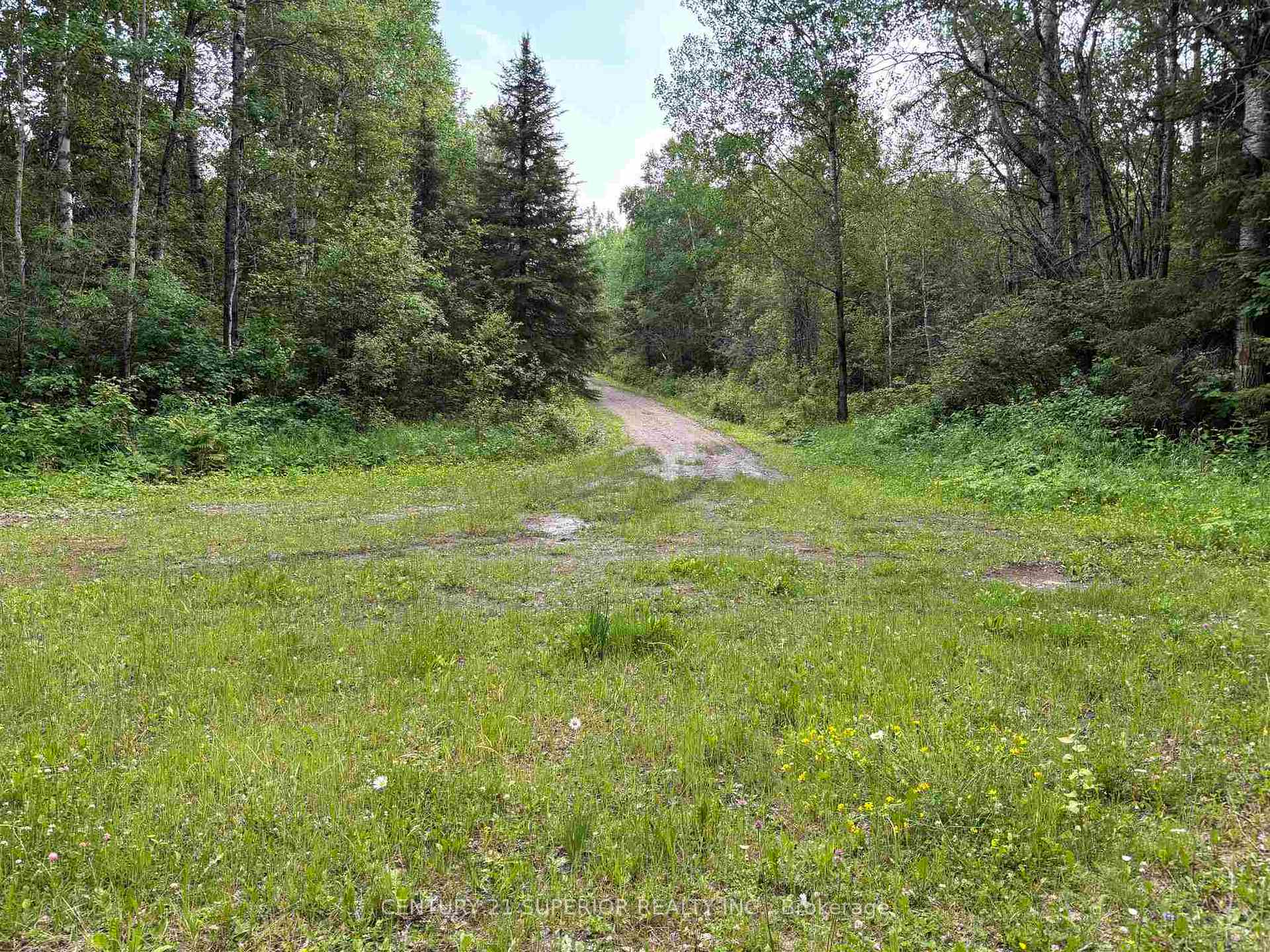 Photo 9 of 1742 Forbes River Road, Thunder Bay Remote Area, Forbes — HOMEH