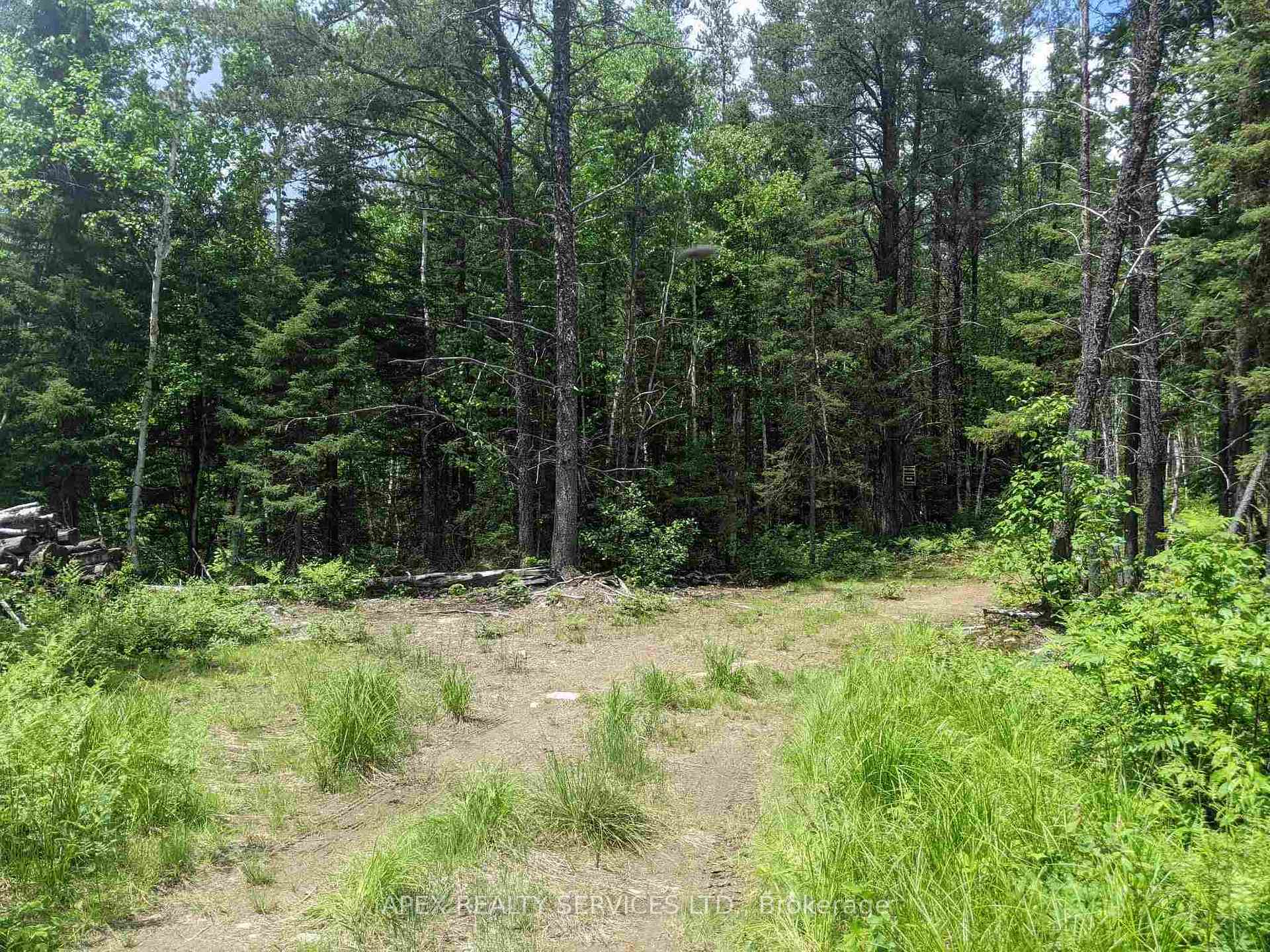 Photo 3 of 160 Acres Parcel 3284, Timiskaming, TIM - Outside - Rural — HOMEH