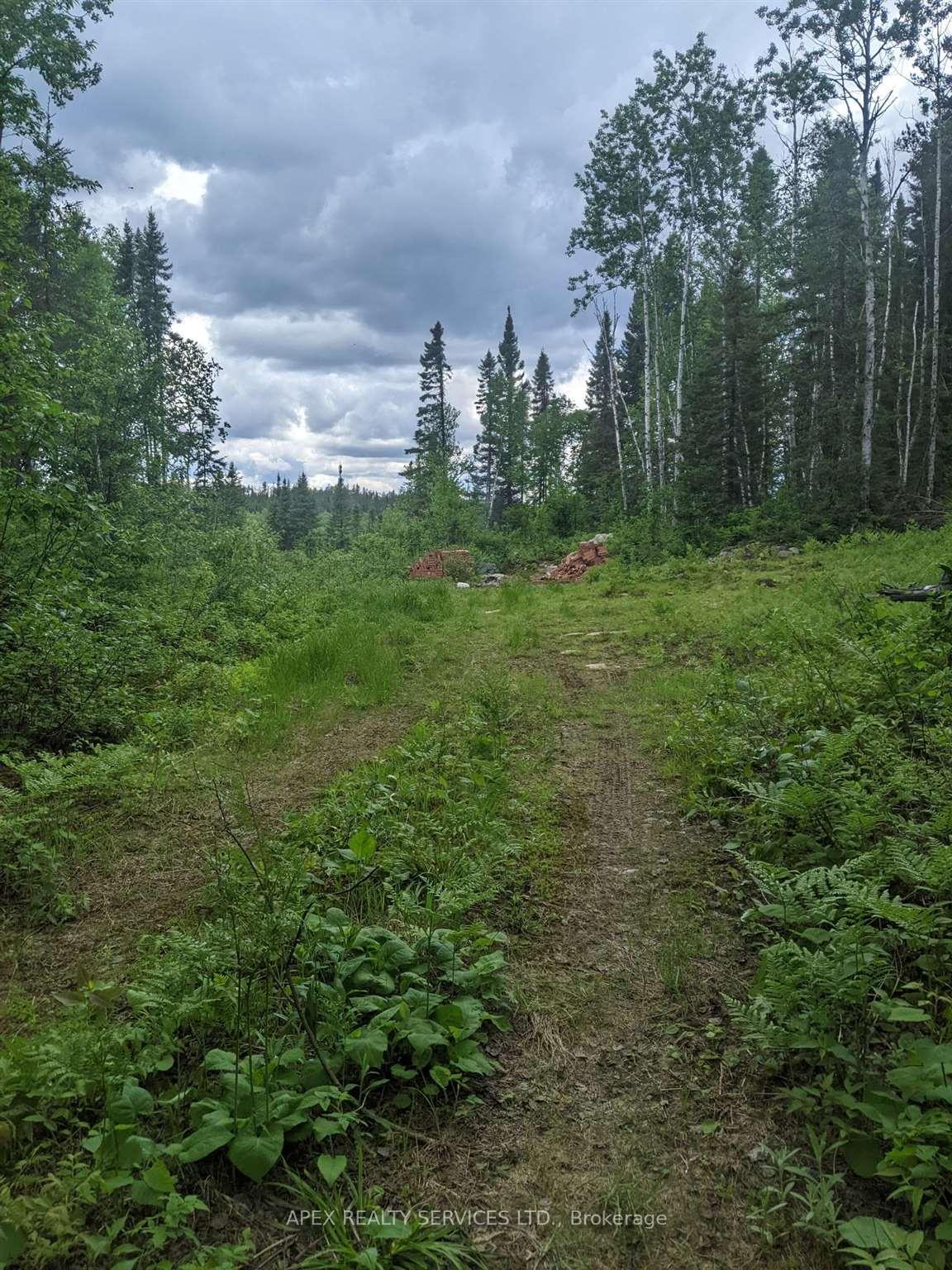 Photo 6 of 160 Acres Parcel 3284, Timiskaming, TIM - Outside - Rural — HOMEH