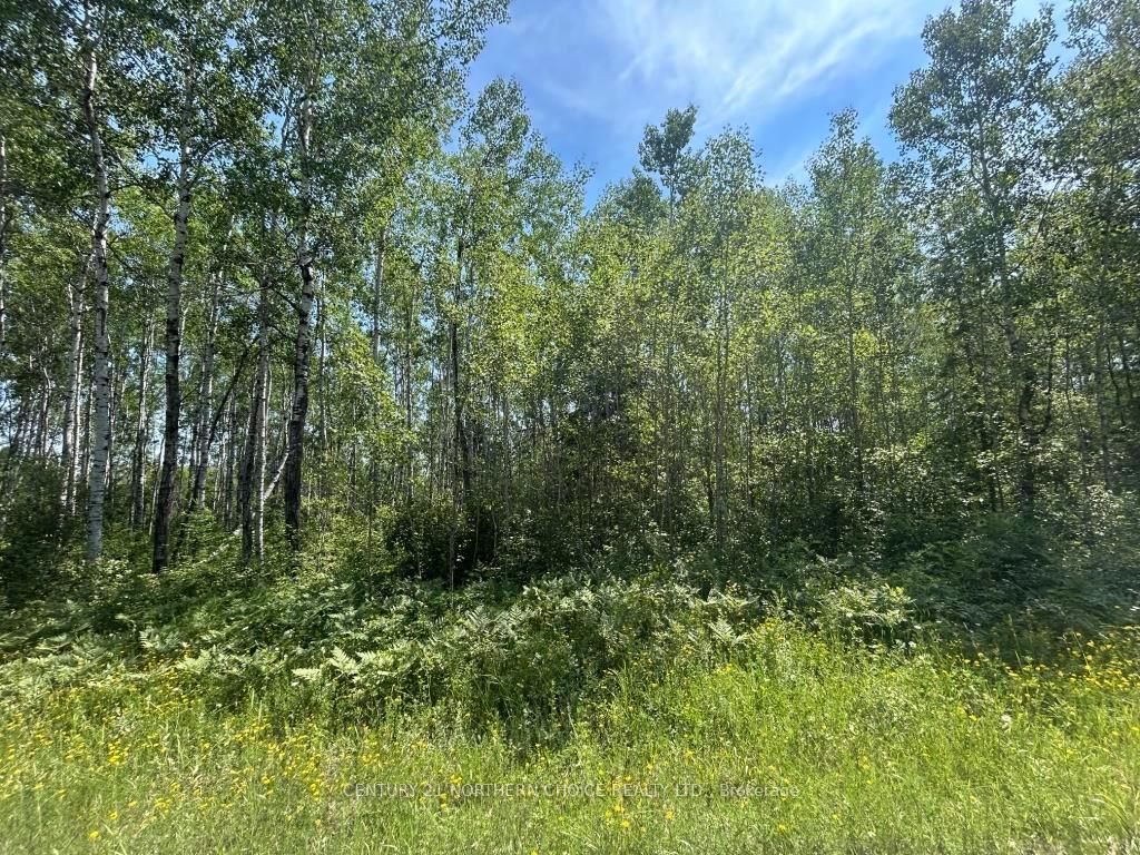 Photo 1 of Parcel 19523 Barnhardt Road, Emo — HOMEH