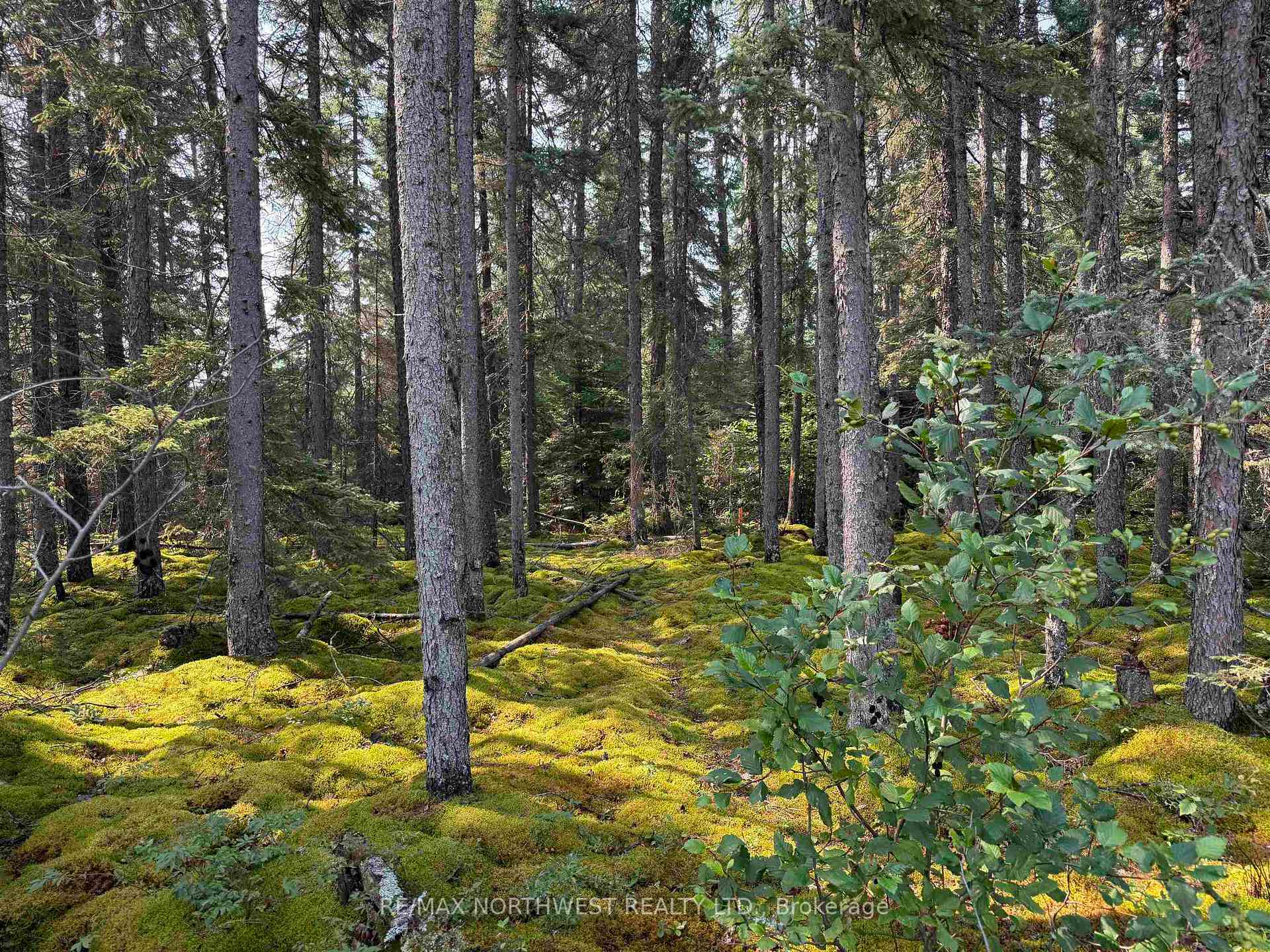 Photo 1 of LOT 1 Kinger Road, Kenora, Redditt Road West — HOMEH