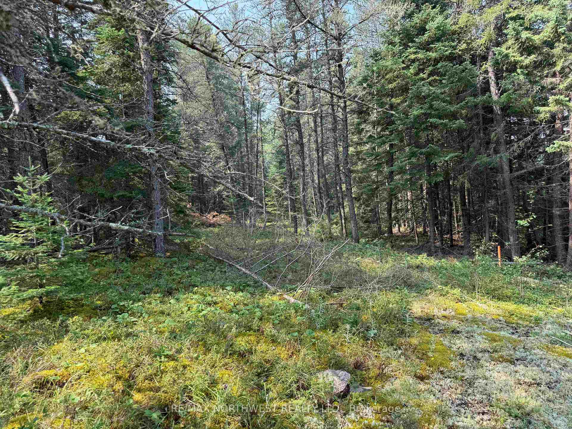 Photo 4 of LOT 2 Kinger Road, Kenora, Redditt Road West — HOMEH