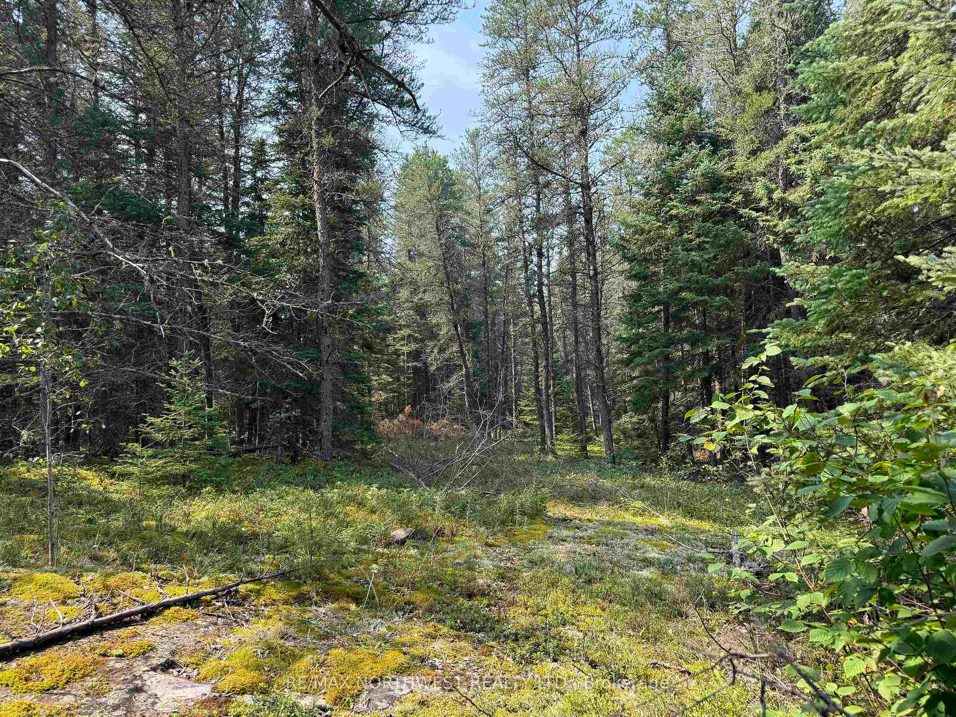 Photo 5 of LOT 2 Kinger Road, Kenora, Redditt Road West — HOMEH