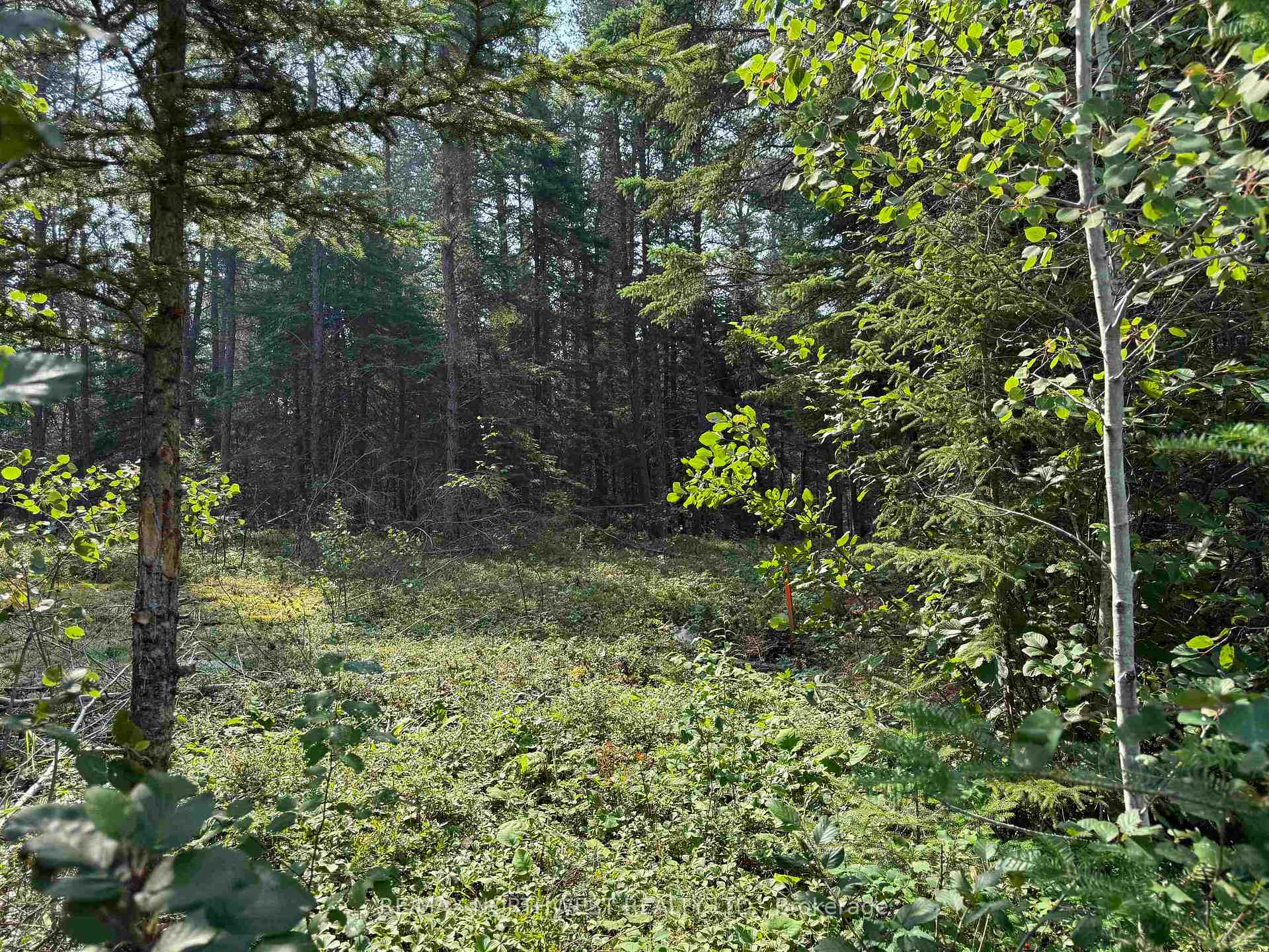Photo 6 of LOT 2 Kinger Road, Kenora, Redditt Road West — HOMEH
