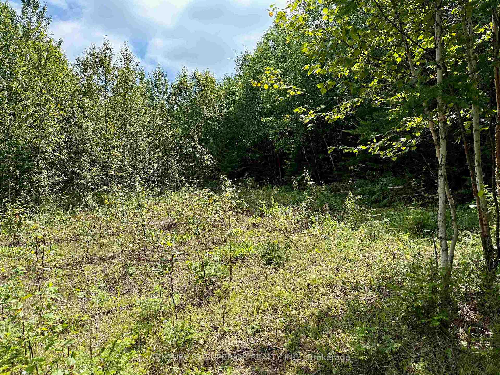 Photo 1 of 7056 Upton Road, Thunder Bay Remote Area, Ware — HOMEH