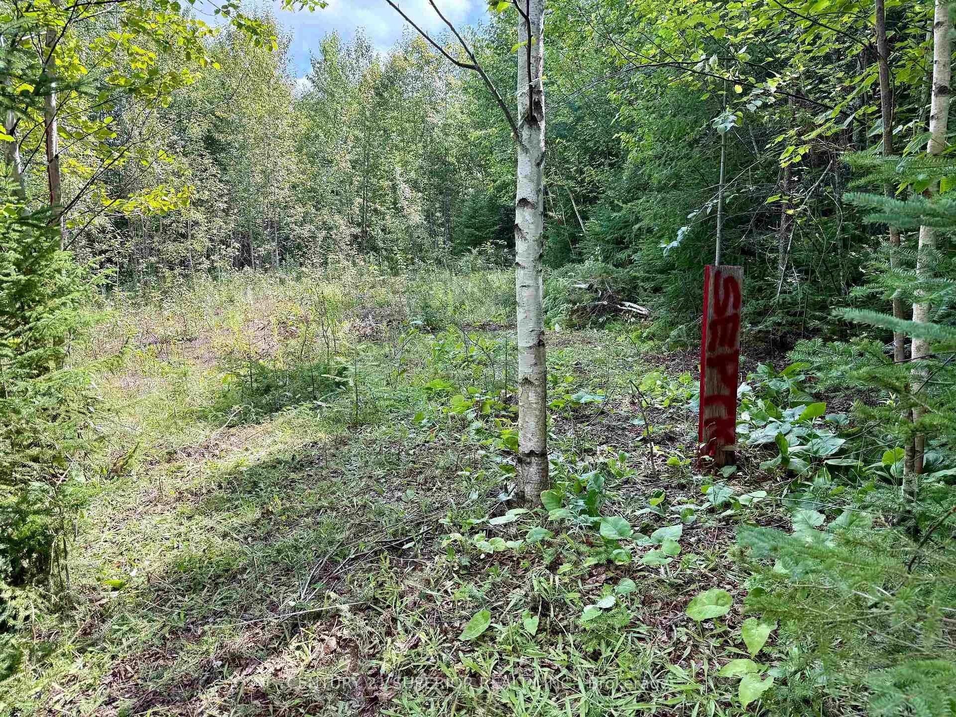 Photo 4 of 7056 Upton Road, Thunder Bay Remote Area, Ware — HOMEH