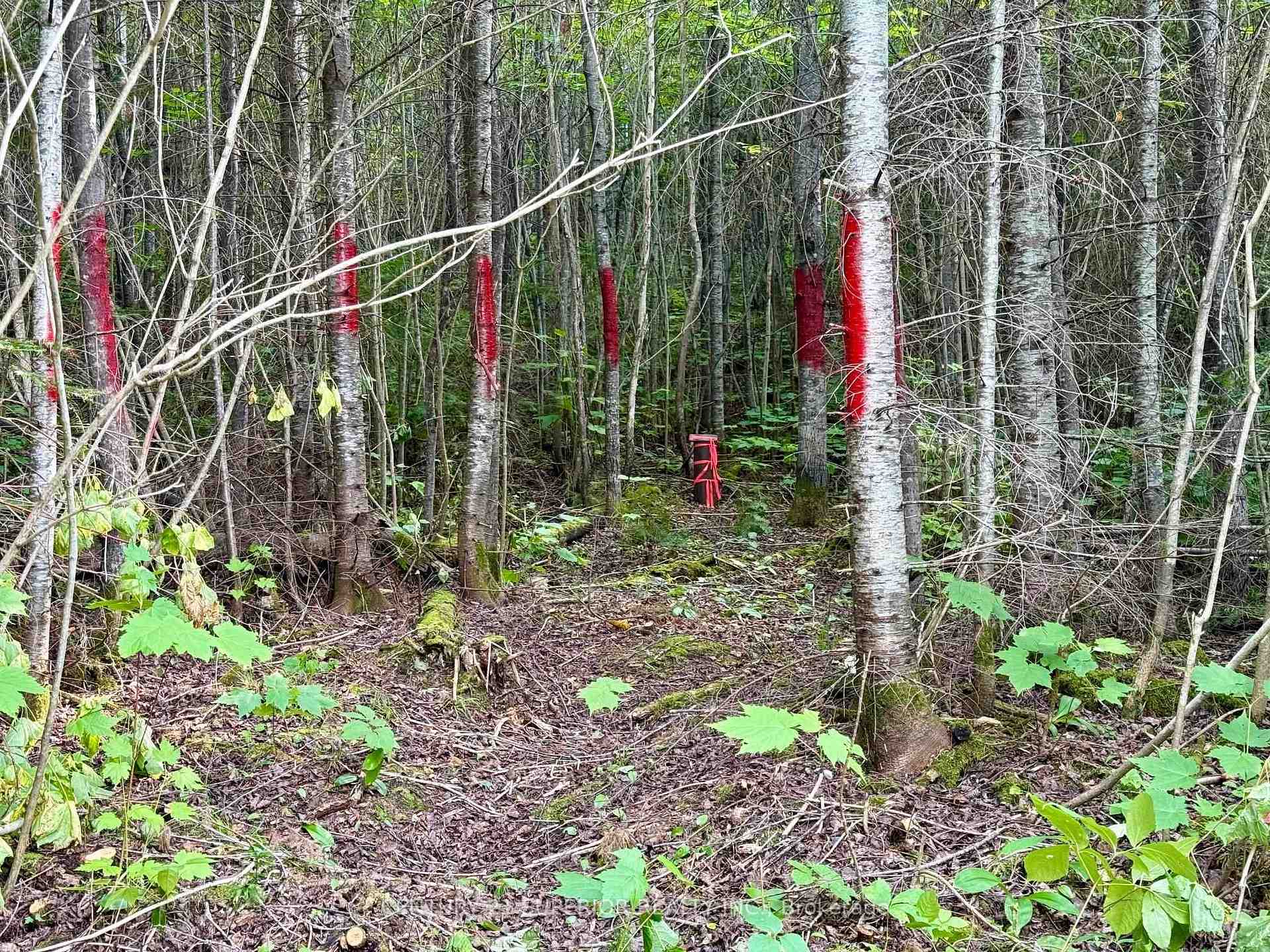 Photo 5 of 7056 Upton Road, Thunder Bay Remote Area, Ware — HOMEH