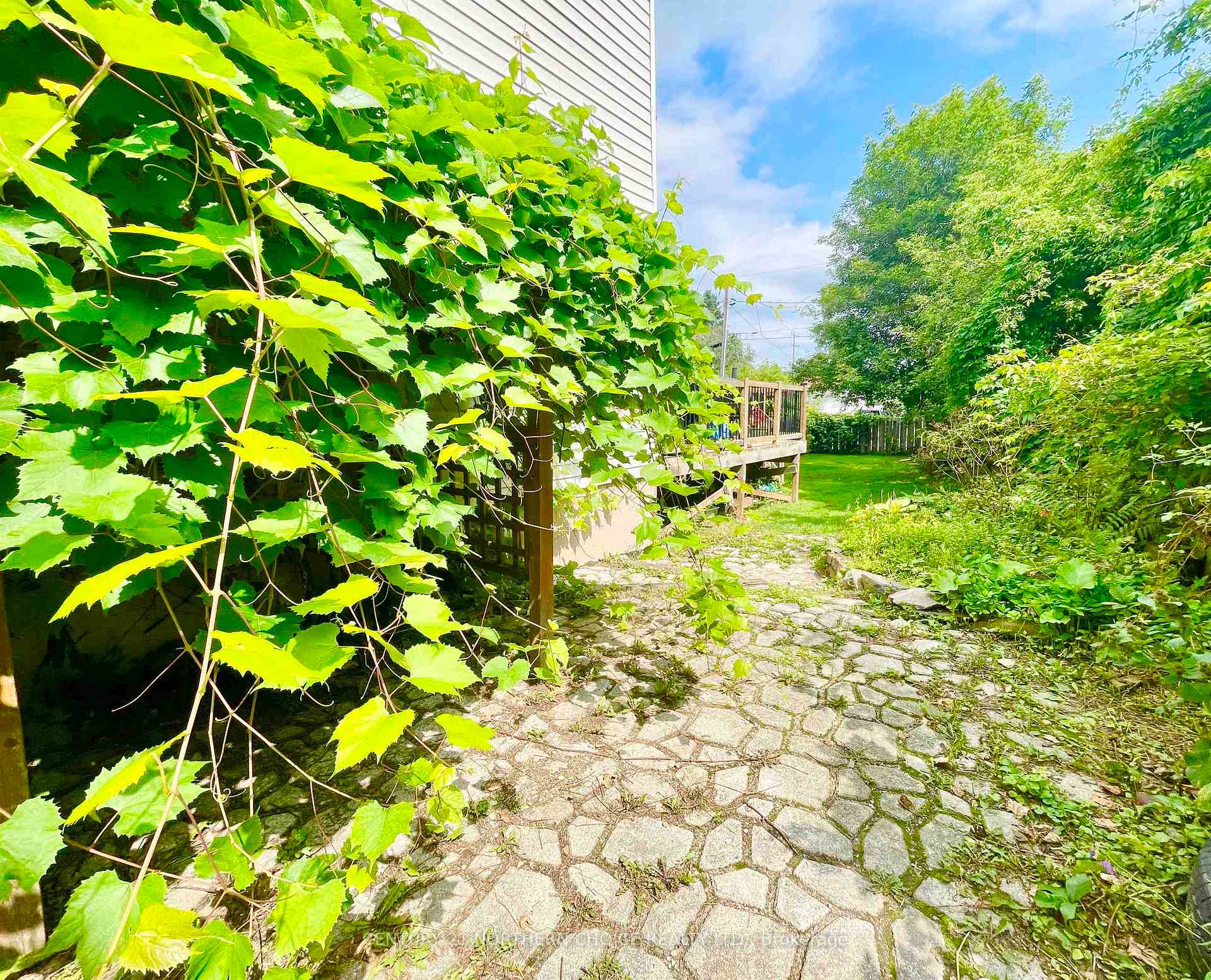 Photo 42 of 75 Elizabeth Avenue, Dryden, Milestone — HOMEH