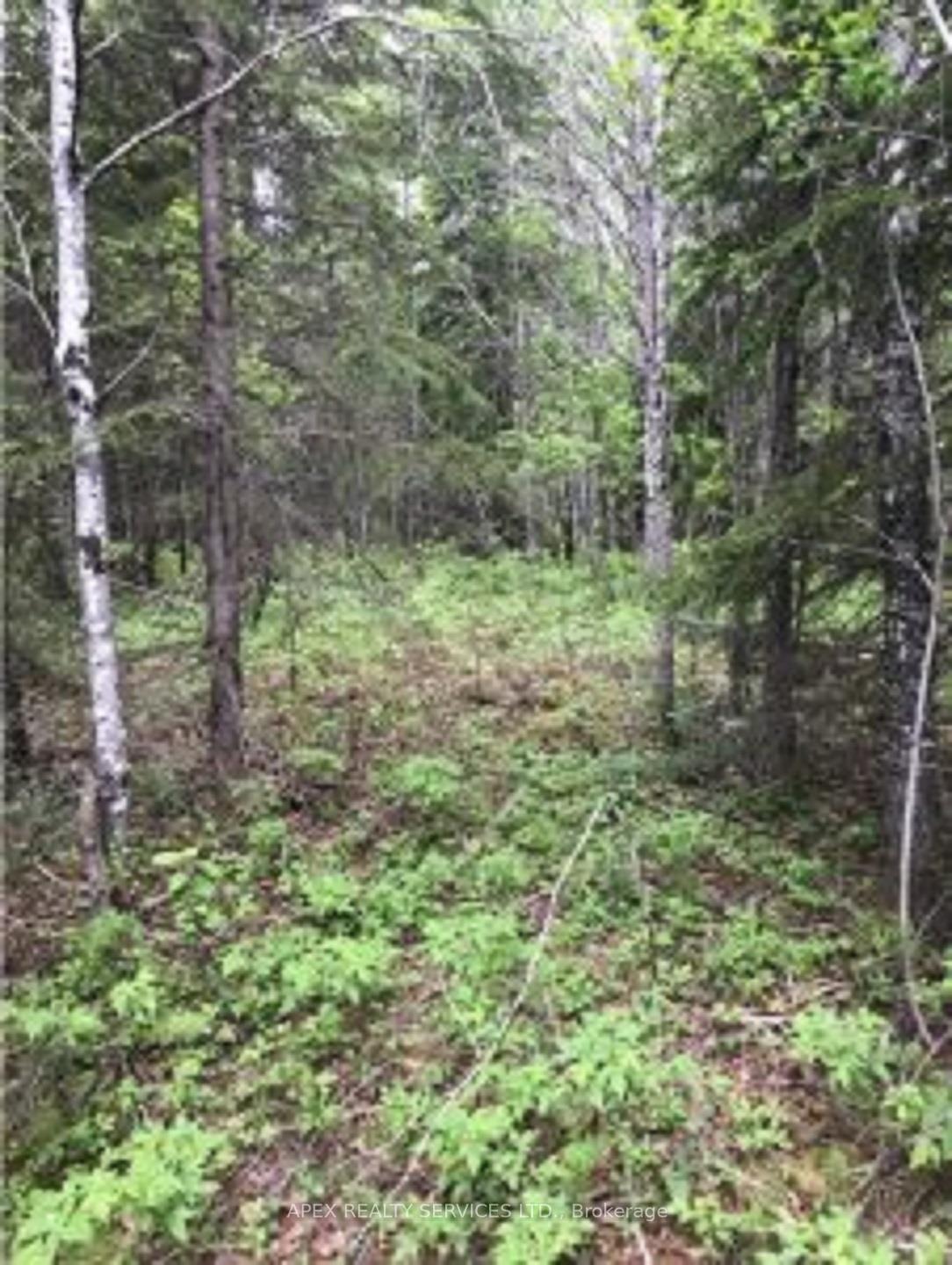 Photo 2 of 75.25 Acres, Cochrane, Cochrane Unorganized — HOMEH