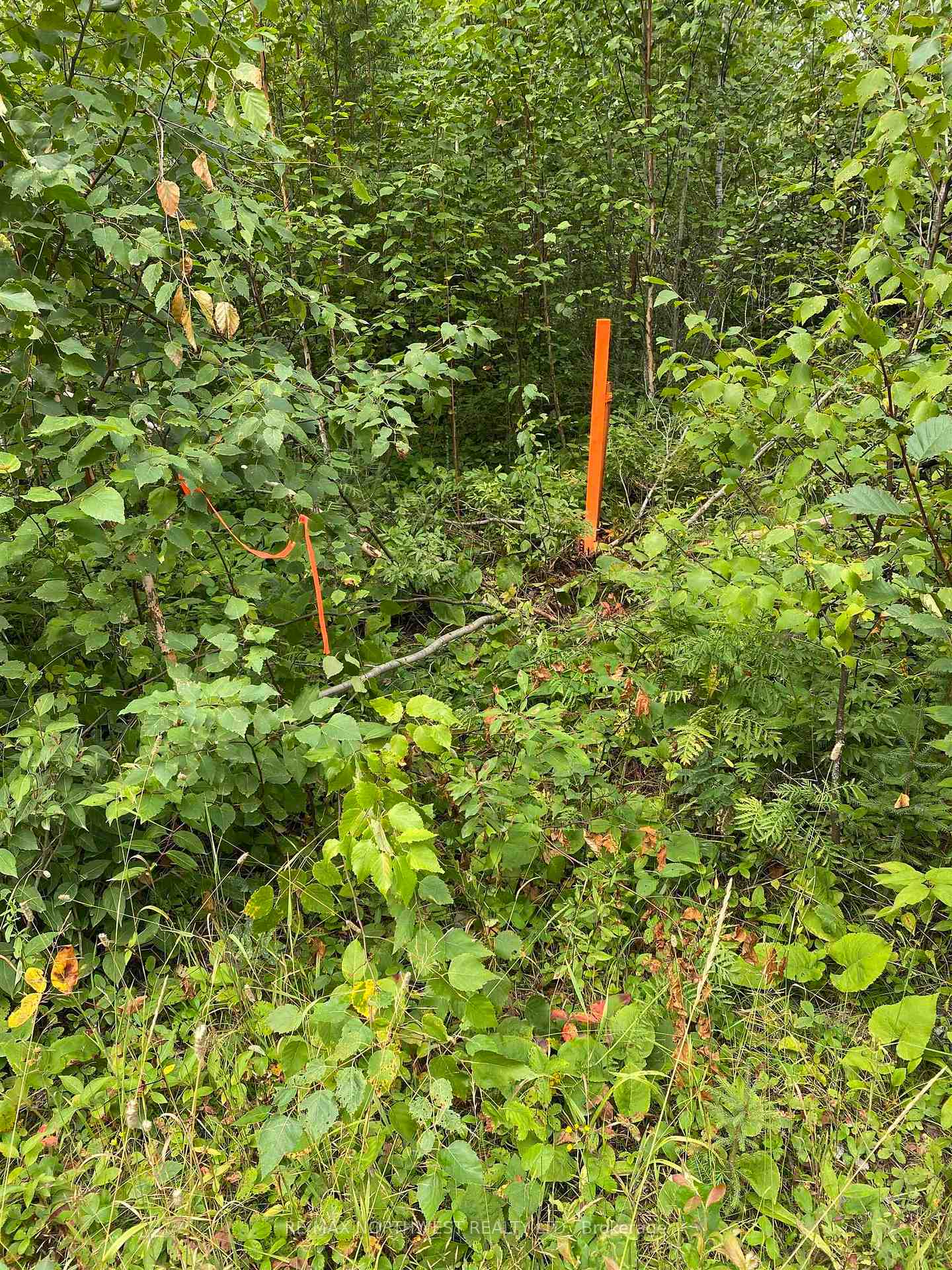 Photo 29 of LOT 14 Jarnel Drive, Kenora, Redditt Road East — HOMEH