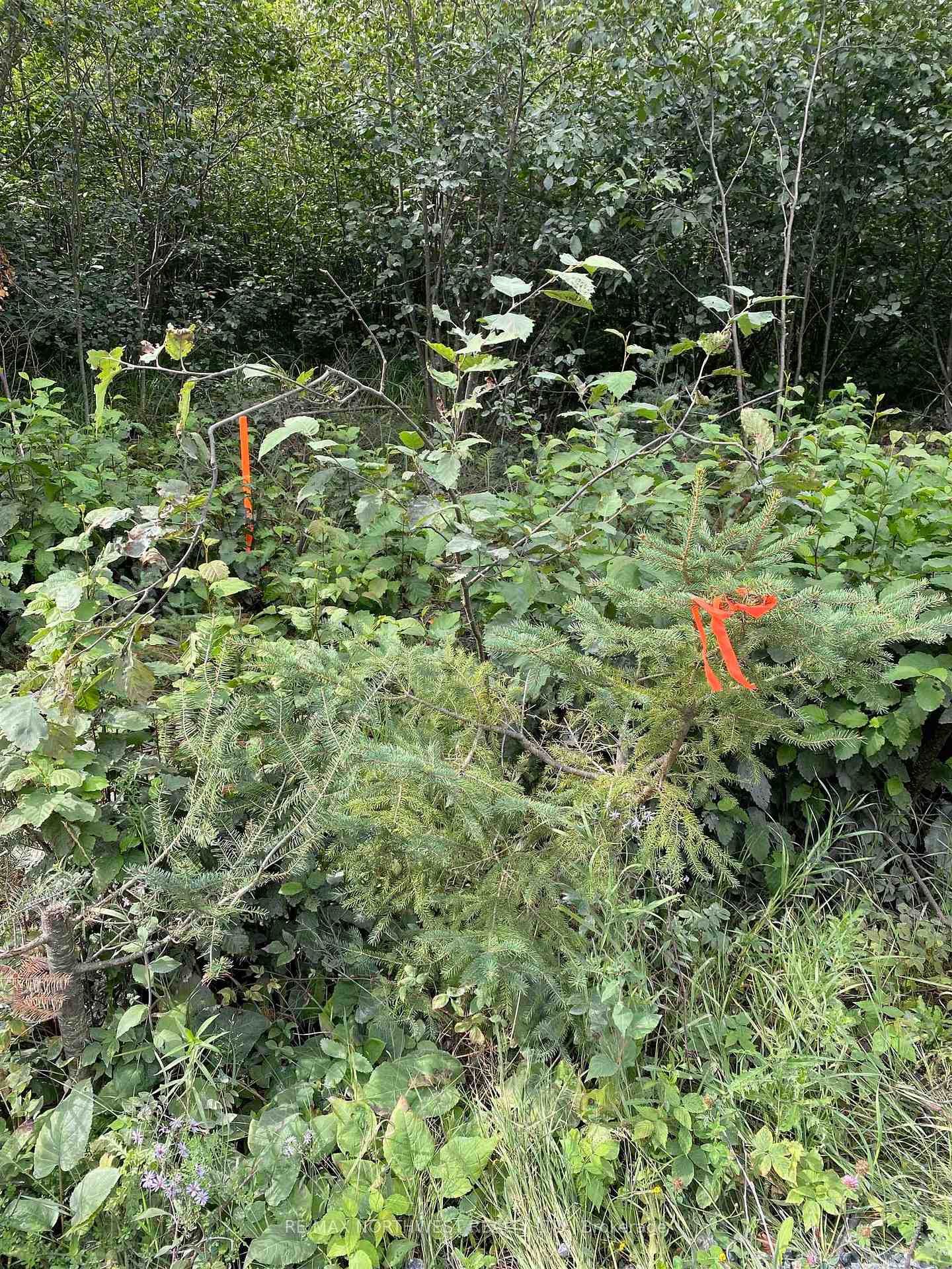 Photo 37 of LOT 14 Jarnel Drive, Kenora, Redditt Road East — HOMEH
