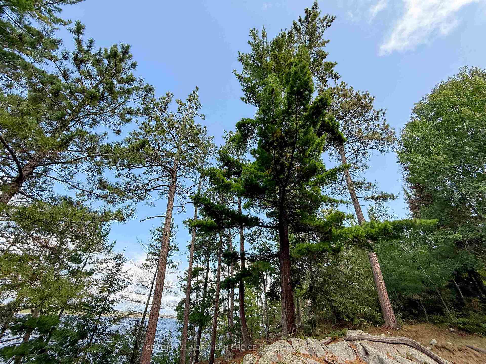 Photo 33 of 1 Dufresne Island, Kenora, Keewatin North — HOMEH