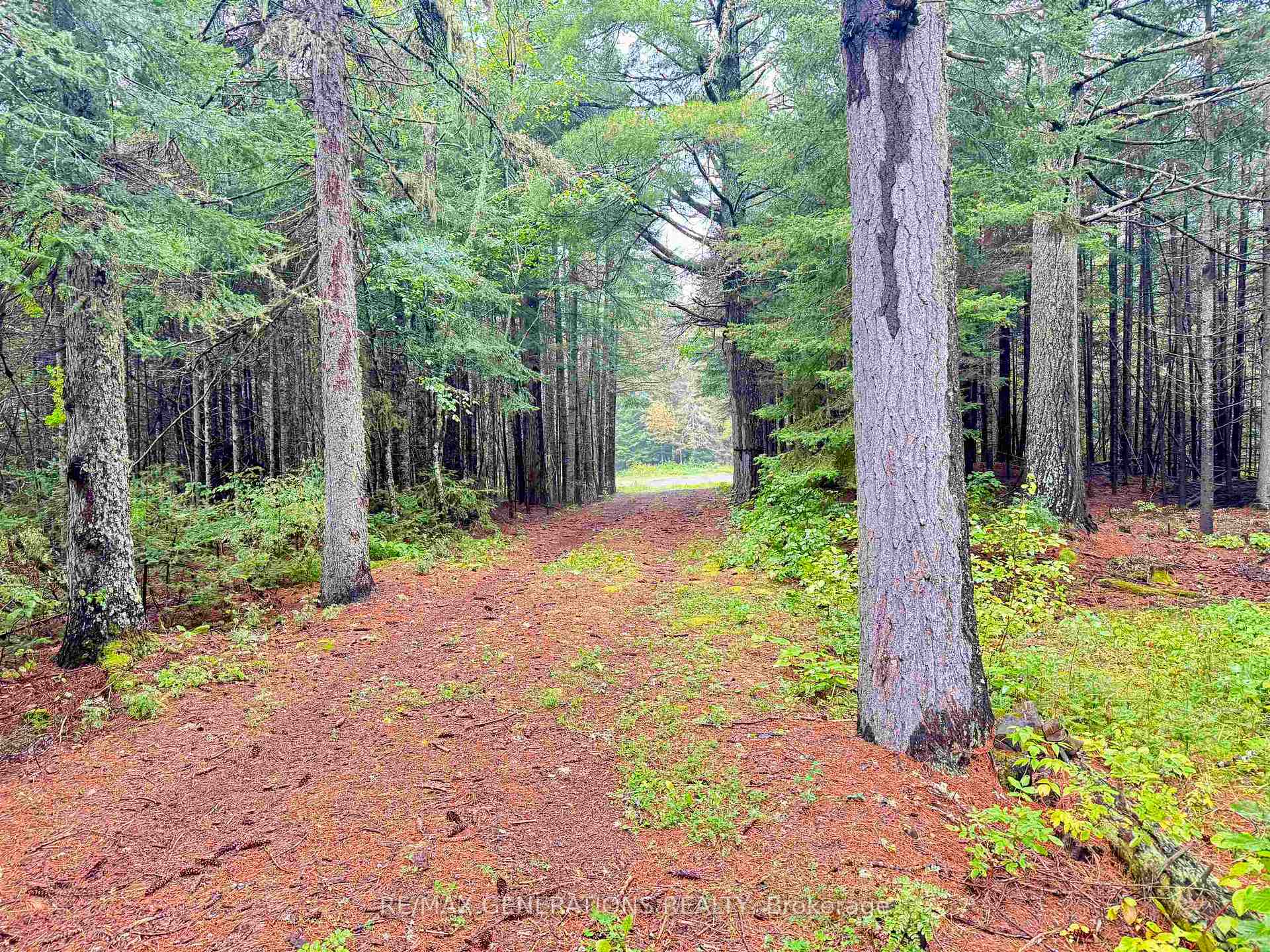Photo 20 of 254 Old Border Rd, Neebing, Pardee — HOMEH