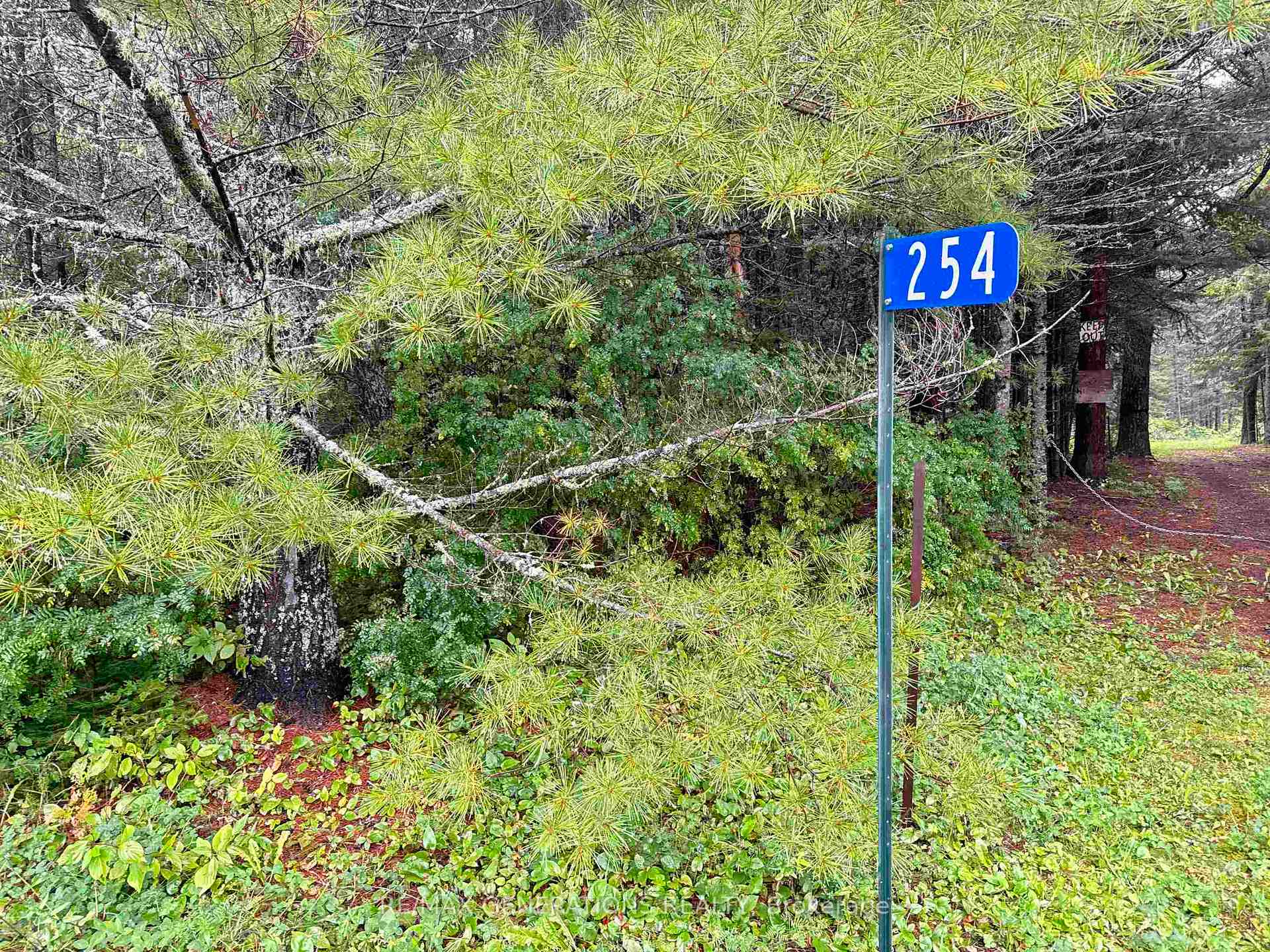 Photo 22 of 254 Old Border Rd, Neebing, Pardee — HOMEH