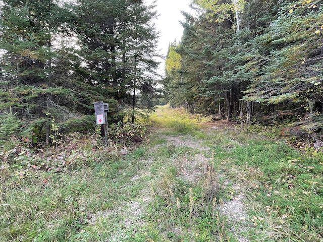 Photo 4 of PIN420690032 Tanner(Kellar) Road, Kenora Remote Area, Richan — HOMEH