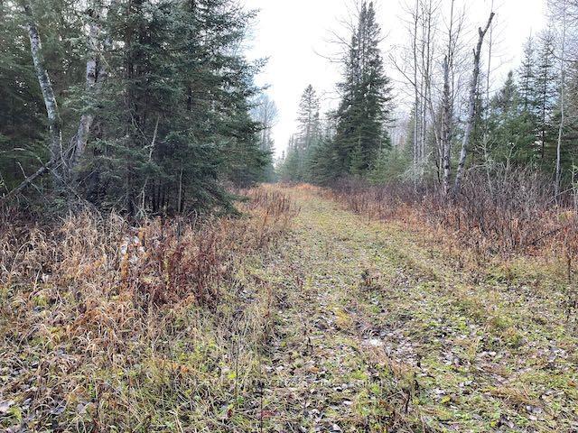Photo 5 of PIN420690032 Tanner(Kellar) Road, Kenora Remote Area, Richan — HOMEH