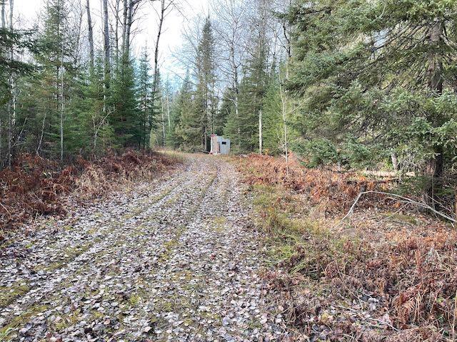 Photo 6 of PIN420690032 Tanner(Kellar) Road, Kenora Remote Area, Richan — HOMEH