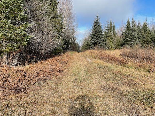 Photo 8 of PIN420690032 Tanner(Kellar) Road, Kenora Remote Area, Richan — HOMEH