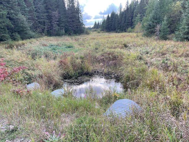 Photo 9 of PIN420690032 Tanner(Kellar) Road, Kenora Remote Area, Richan — HOMEH