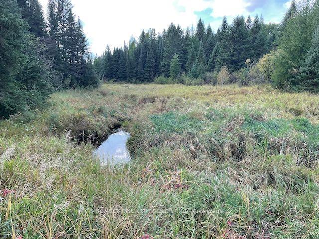 Photo 10 of PIN420690032 Tanner(Kellar) Road, Kenora Remote Area, Richan — HOMEH