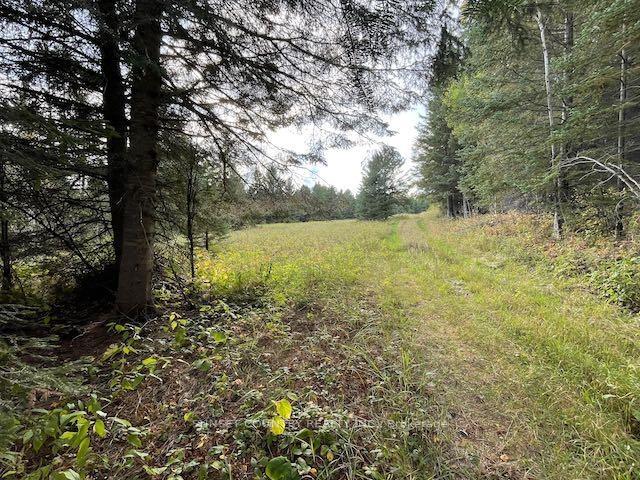 Photo 11 of PIN420690032 Tanner(Kellar) Road, Kenora Remote Area, Richan — HOMEH