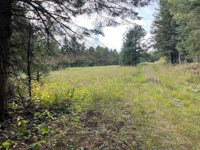 Photo 12 of PIN420690032 Tanner(Kellar) Road, Kenora Remote Area, Richan — HOMEH