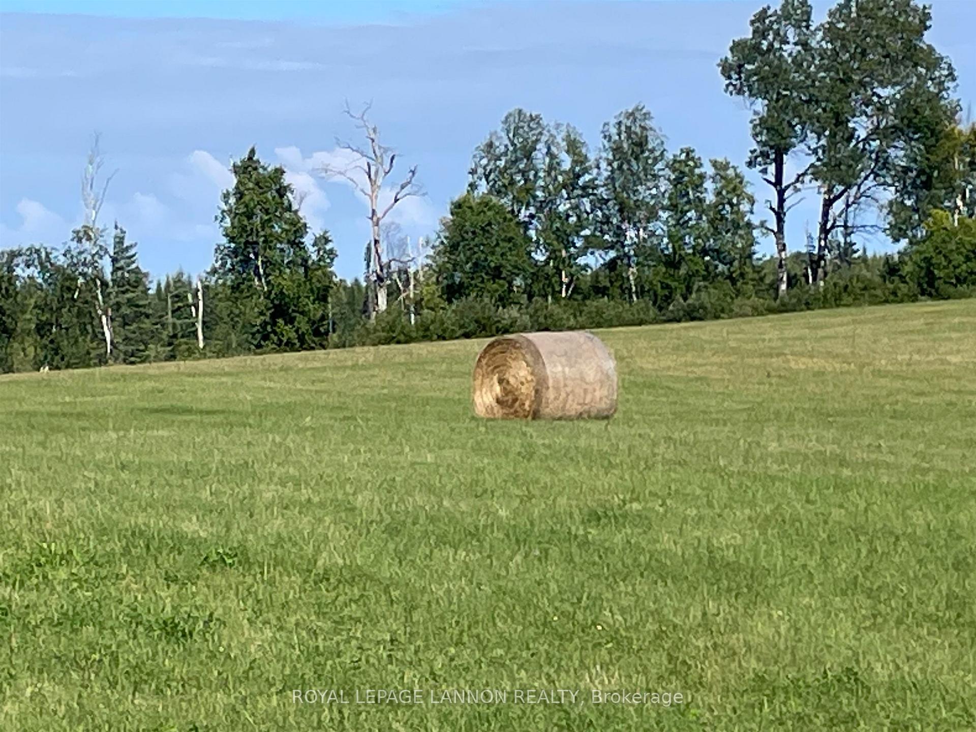 Photo 25 of 667 North Road, Thunder Bay Remote Area — HOMEH