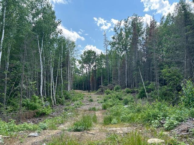 Photo 11 of Lot 14 Peterkin Lake Rd., Thunder Bay Remote Area — HOMEH