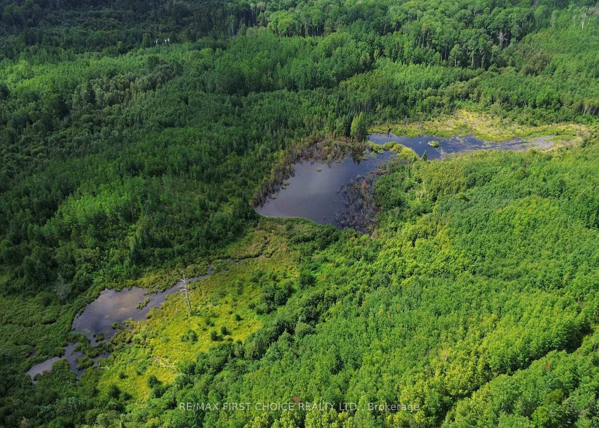 Photo 9 of PCL 16411 Forbes River Road, Thunder Bay Remote Area, Forbes — HOMEH