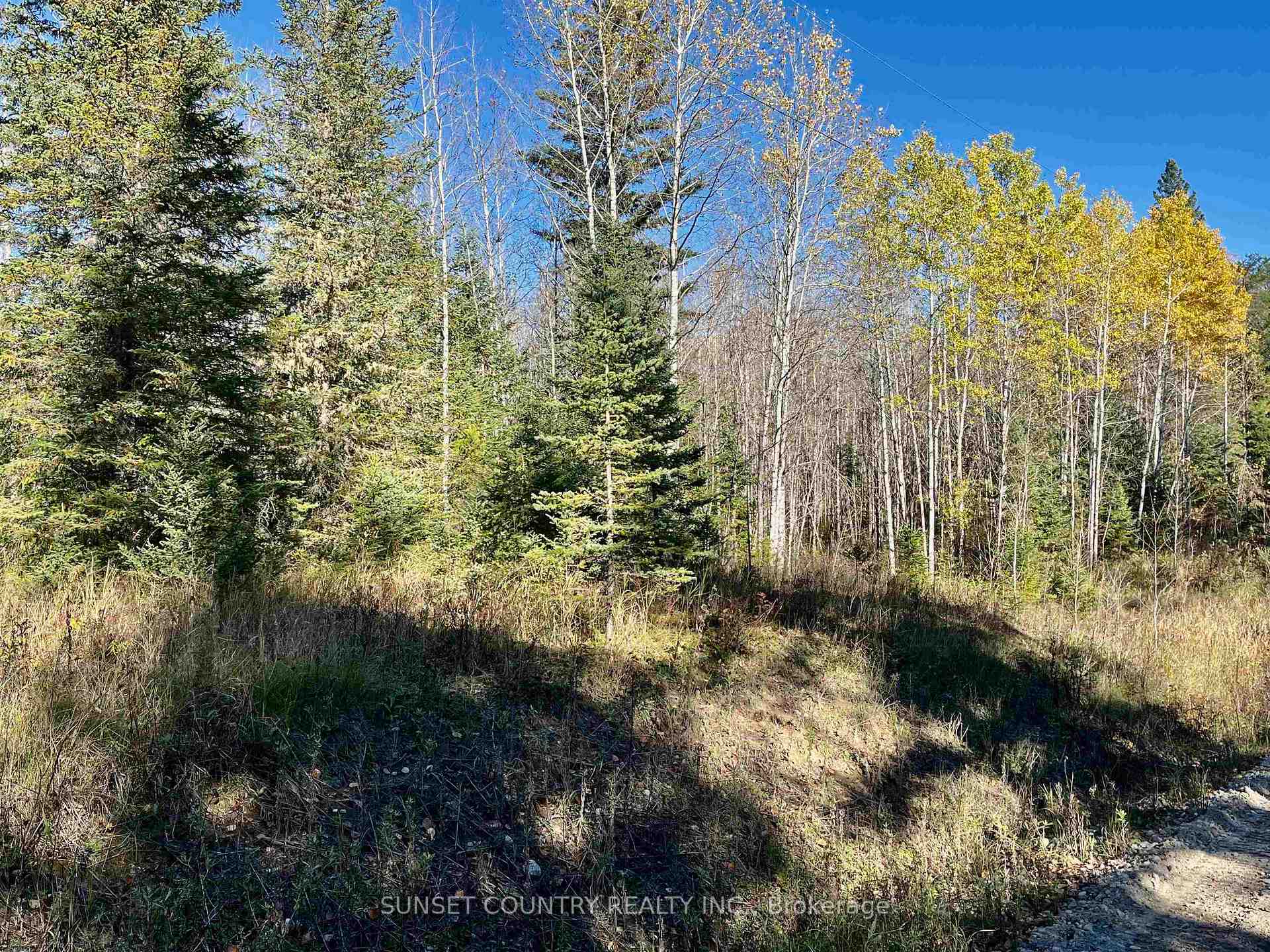Photo 4 of 209 Franklin Road, Kenora Remote Area, Richan — HOMEH