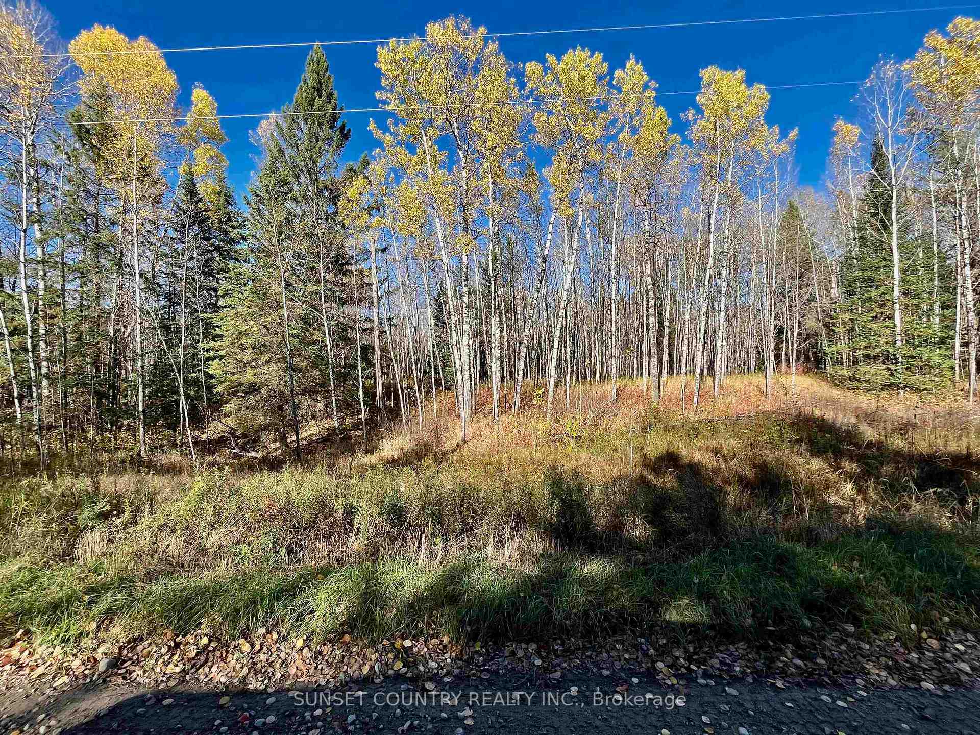 Photo 6 of 209 Franklin Road, Kenora Remote Area, Richan — HOMEH