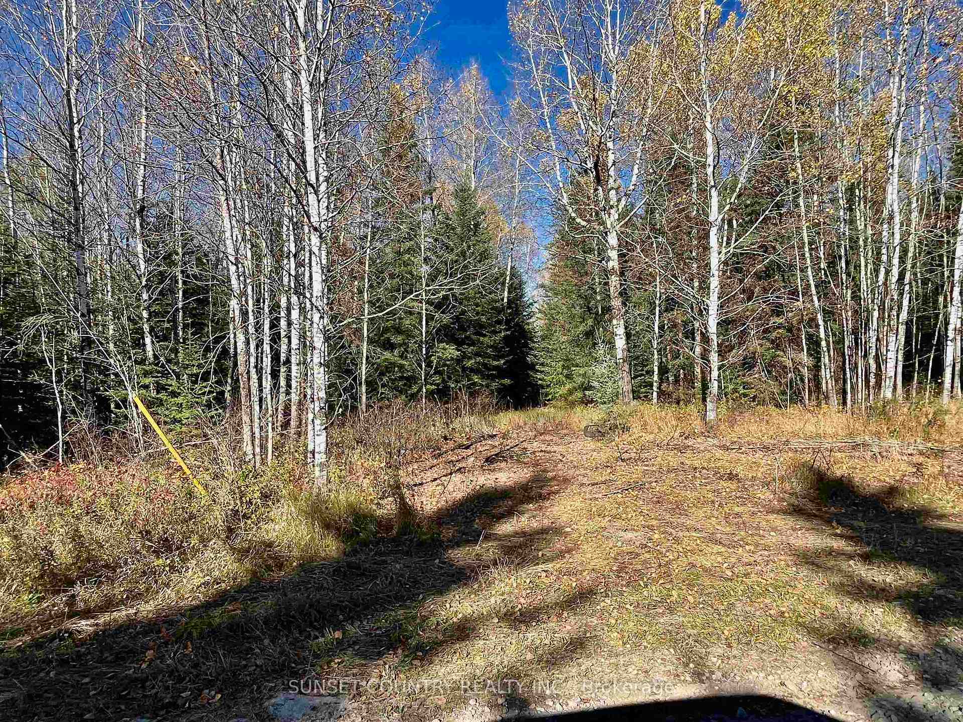 Photo 7 of 209 Franklin Road, Kenora Remote Area, Richan — HOMEH