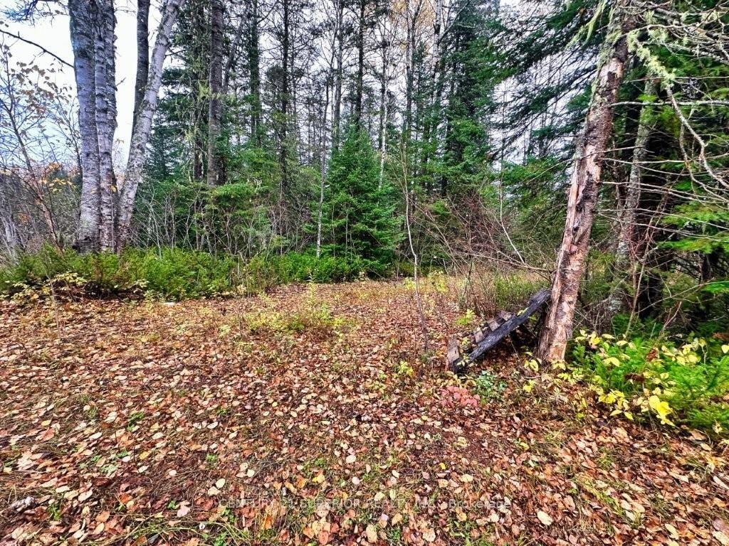 Photo 31 of 149 Hwy 582, Thunder Bay Remote Area — HOMEH